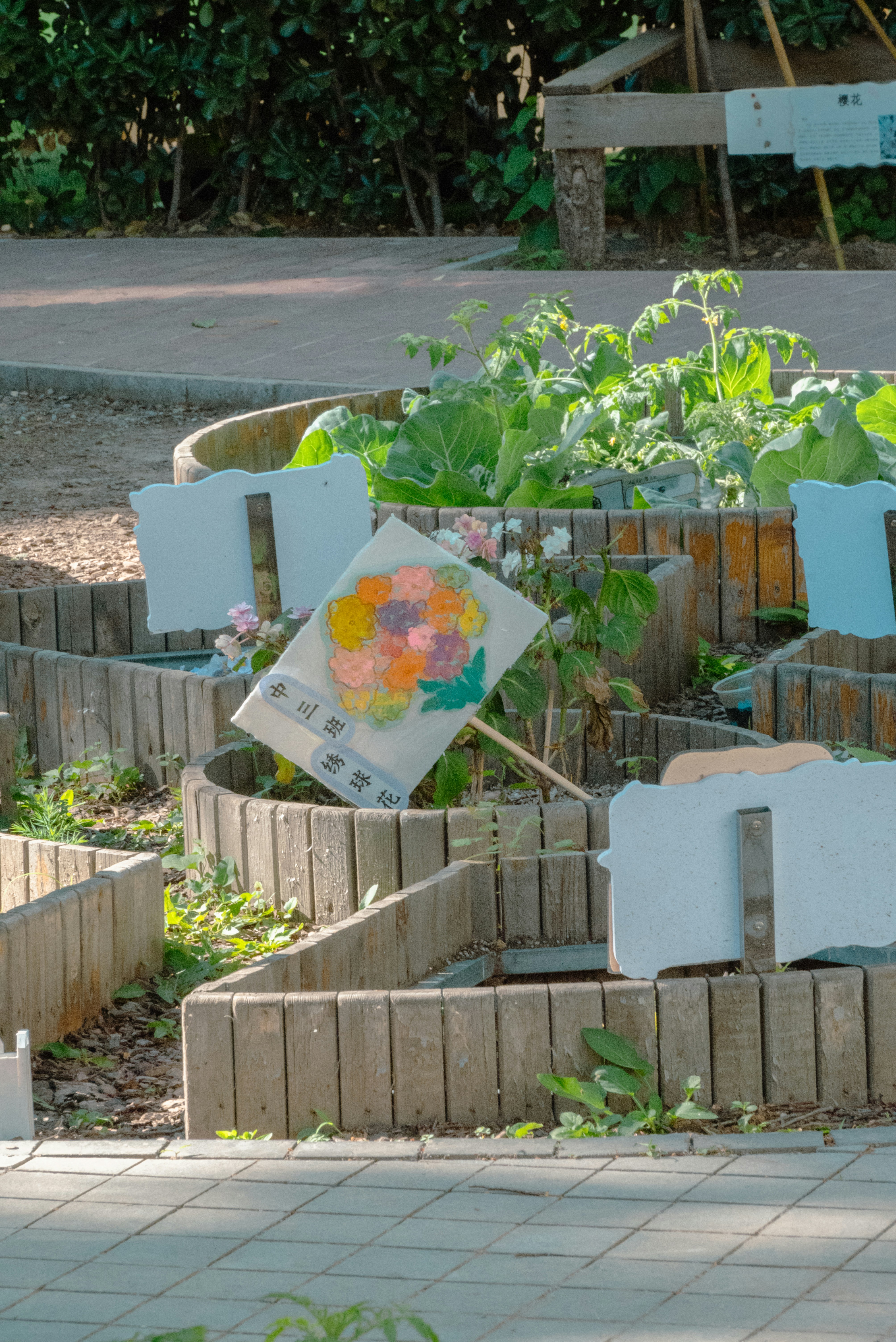 a picture of a flower garden in a raised garden bed
