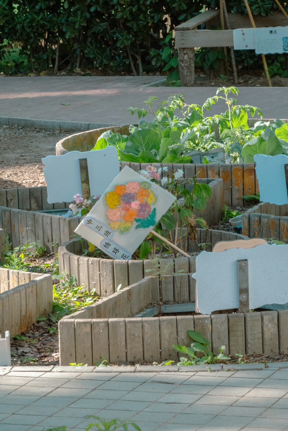 a picture of a flower garden in a raised garden bed