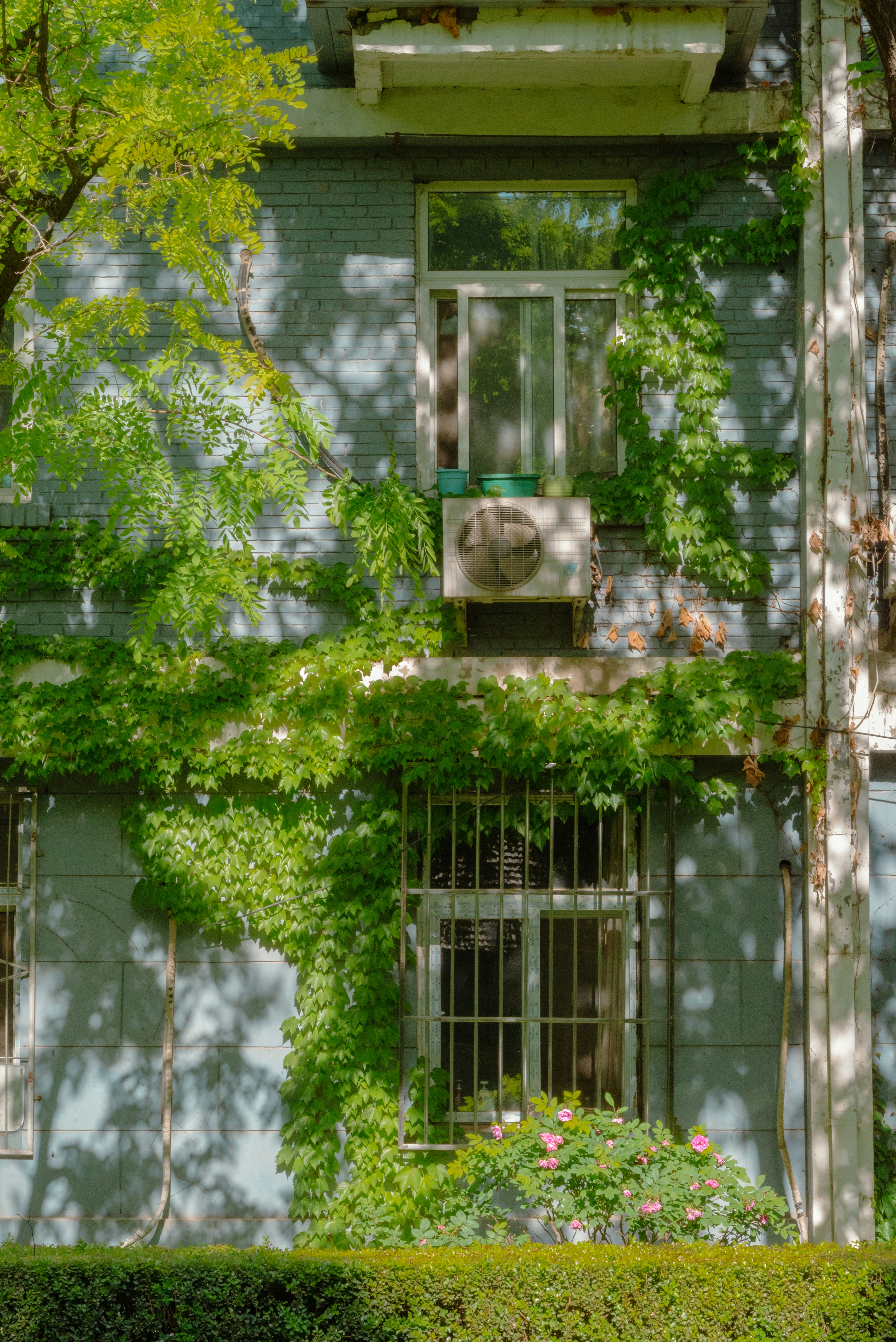 Photo by nikol_royce