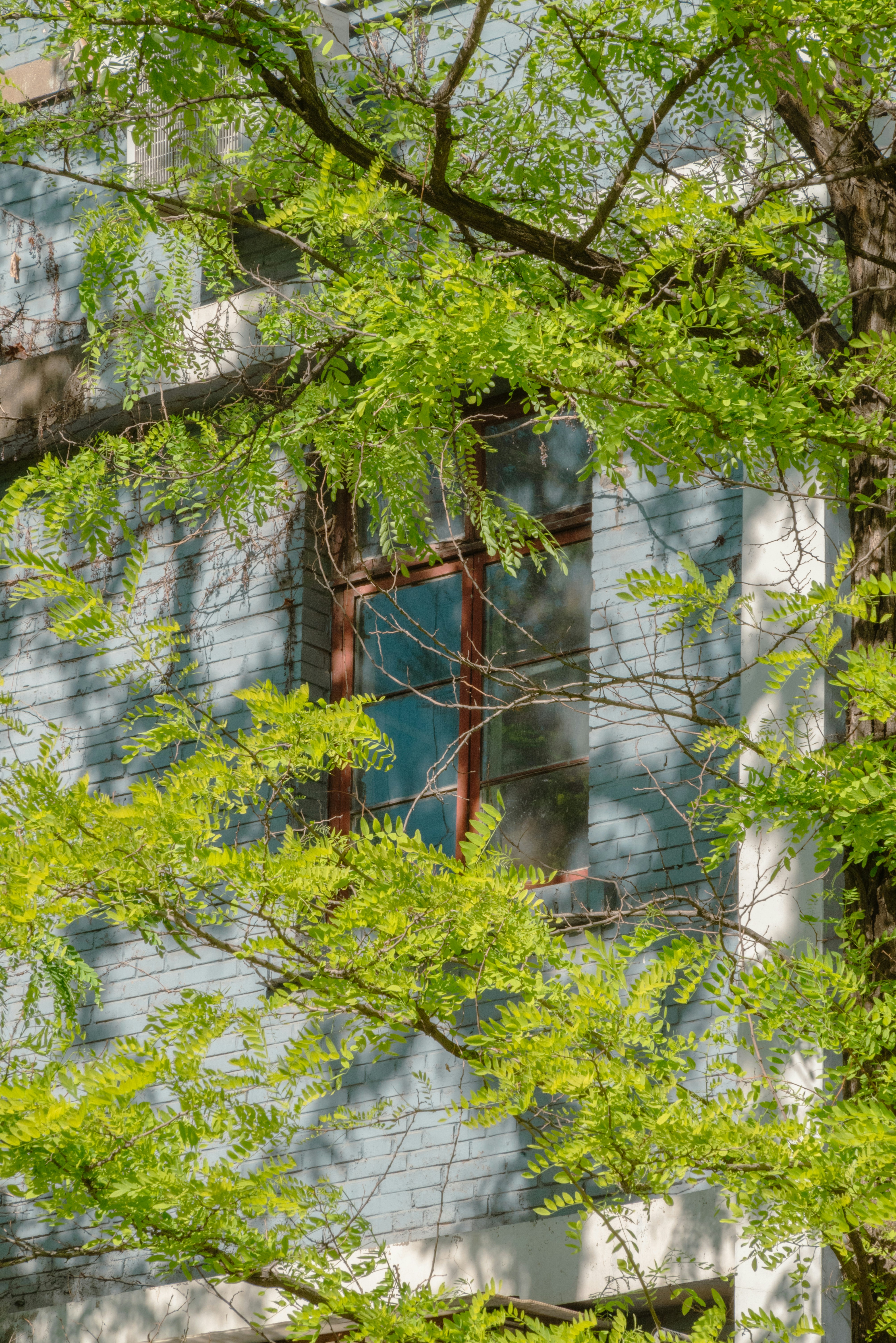 Photo by nikol_royce