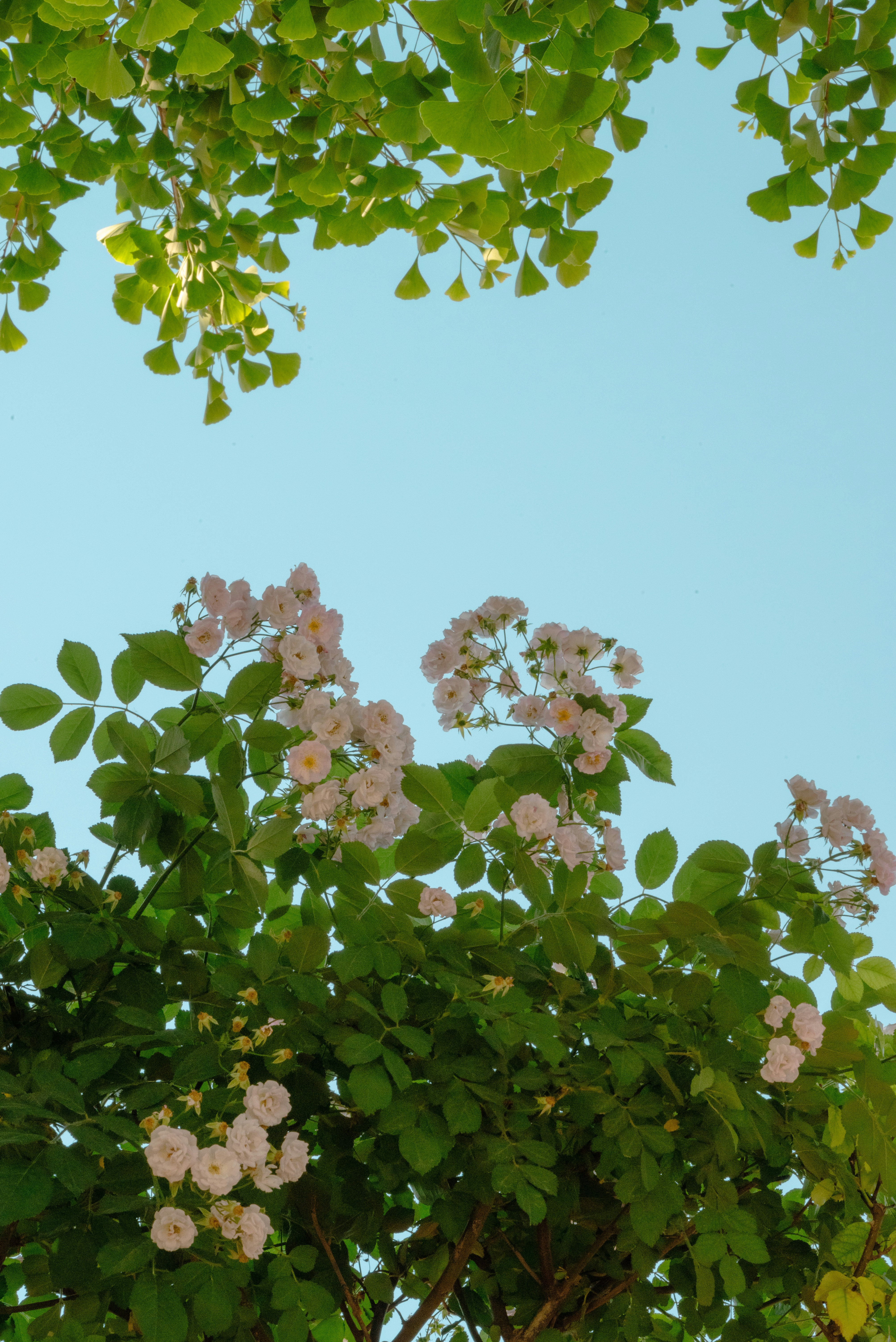 Photo by nikol_royce