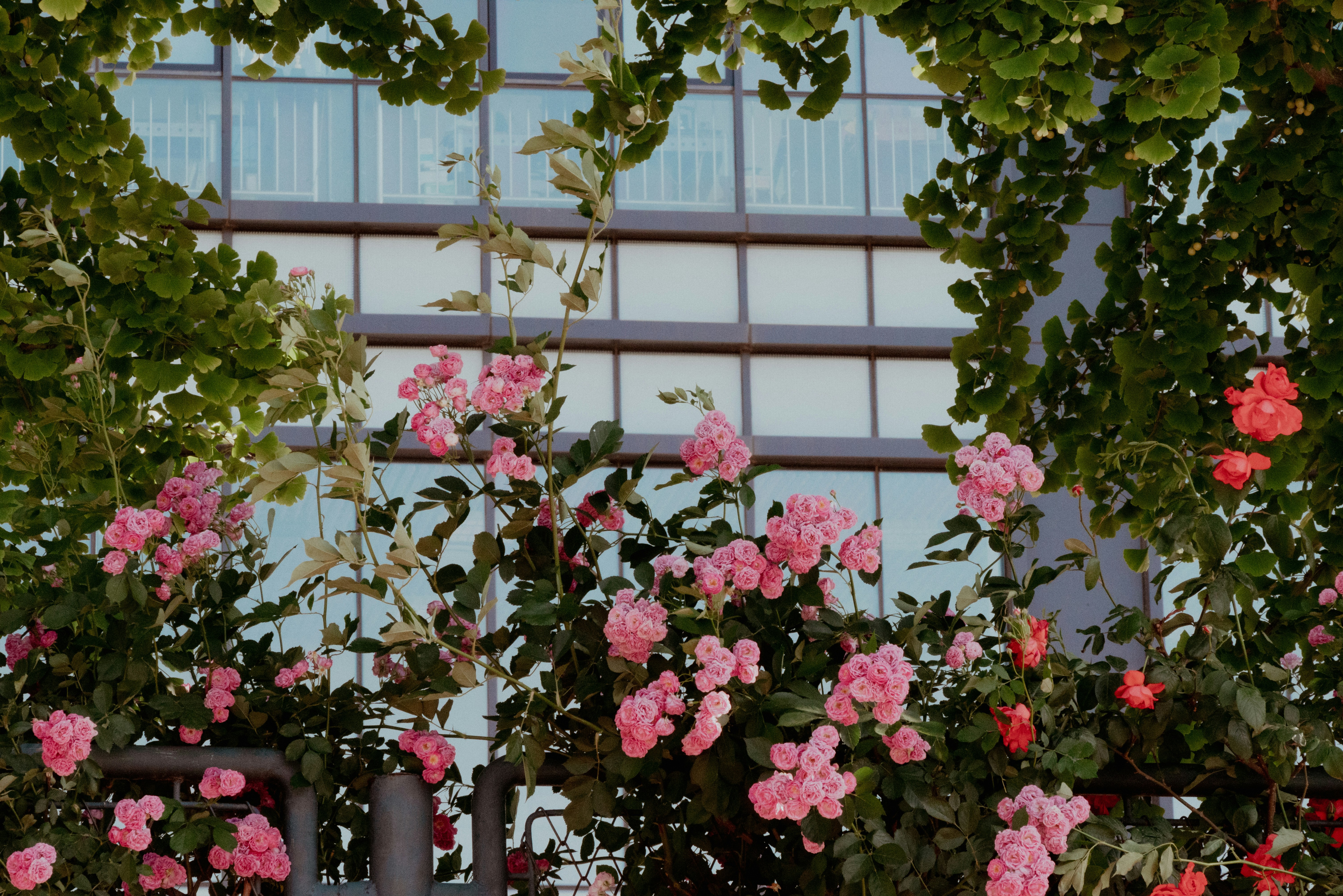 Photo by nikol_royce