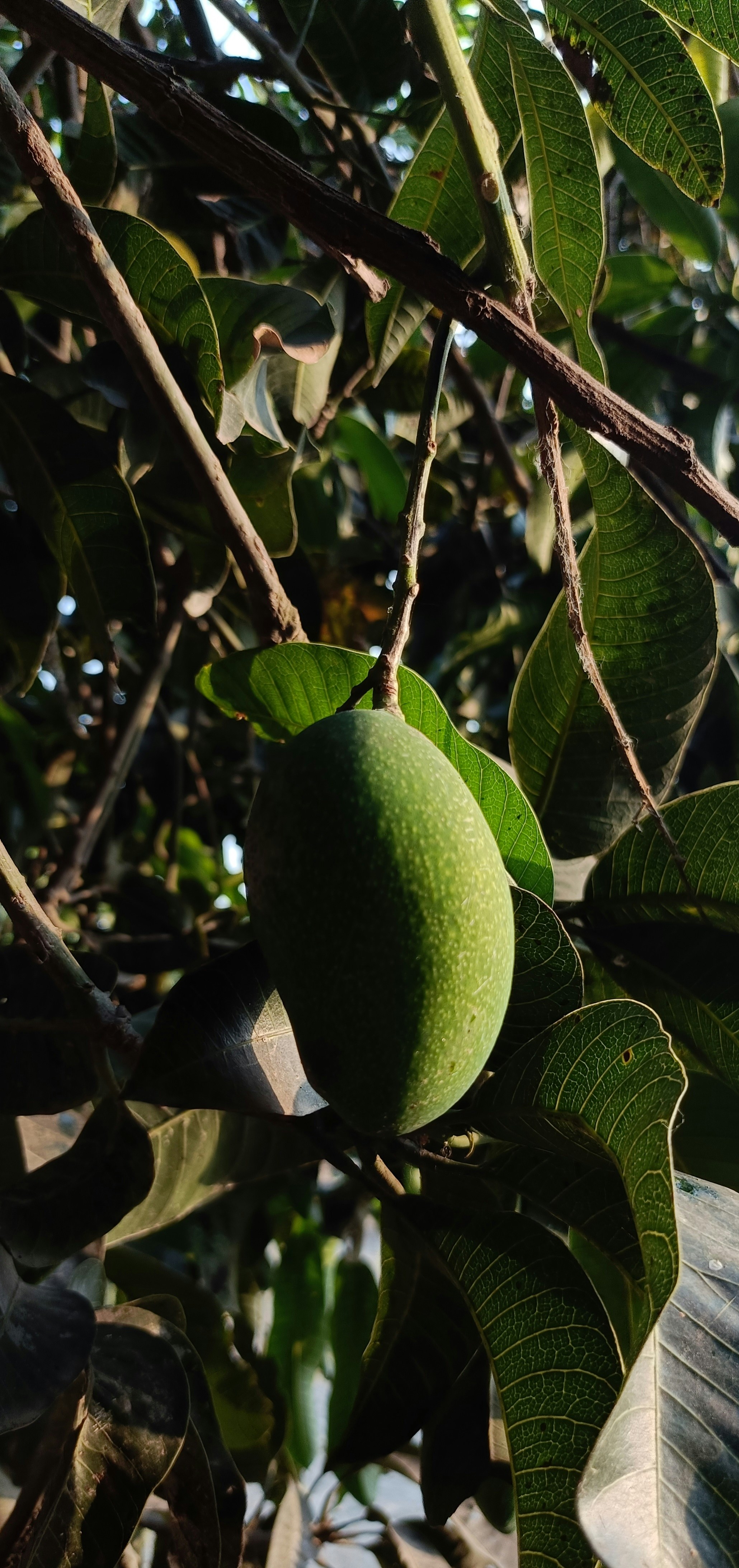 Photo by aadityaaaaaa