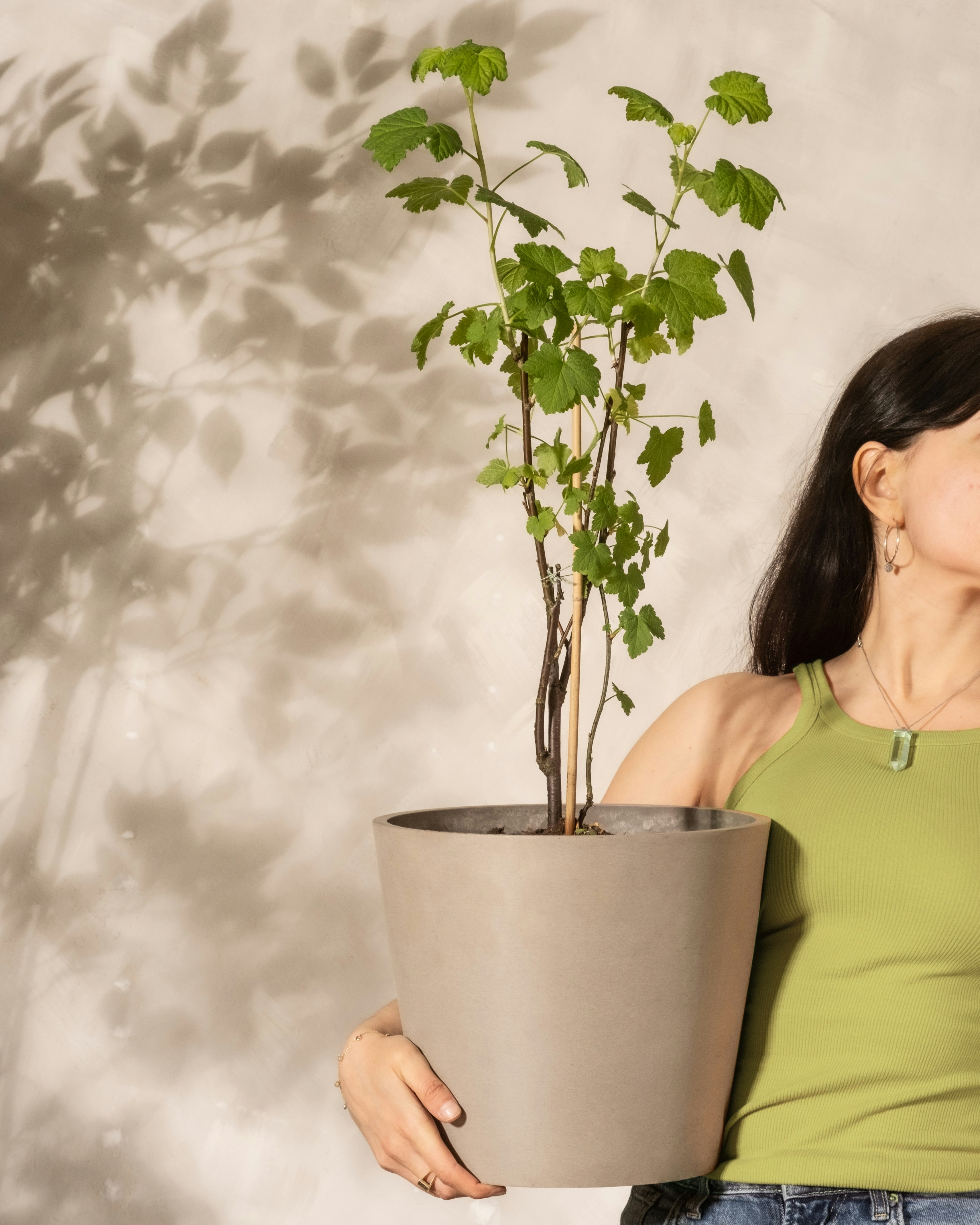 a woman holding a potted plant in front of a wall
