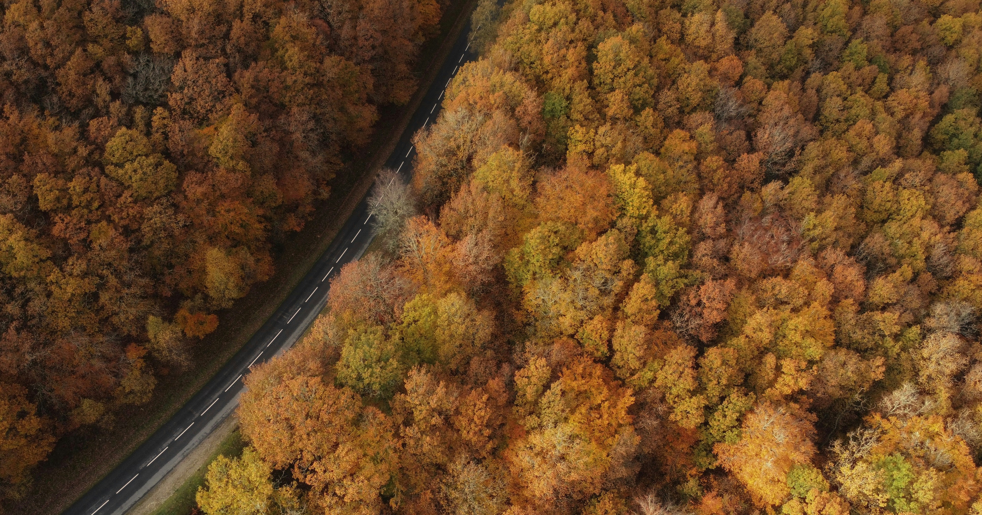 Photo by artofnature