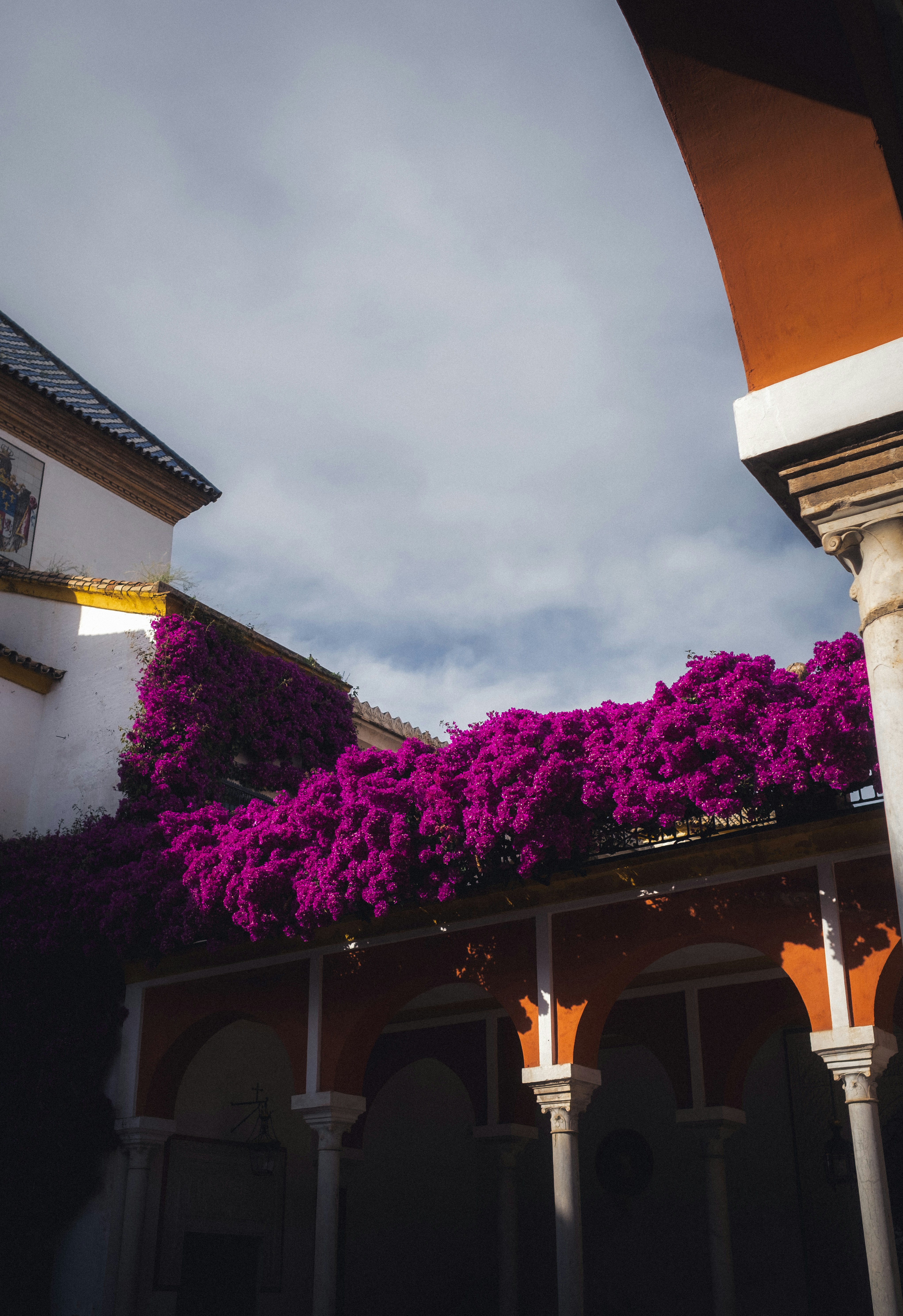 Nightlife and Entertainment