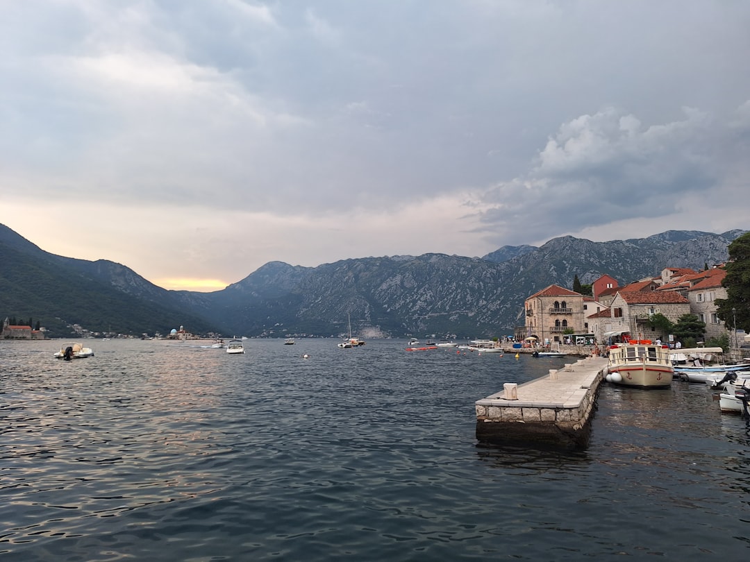 a body of water with a bunch of boats in it,