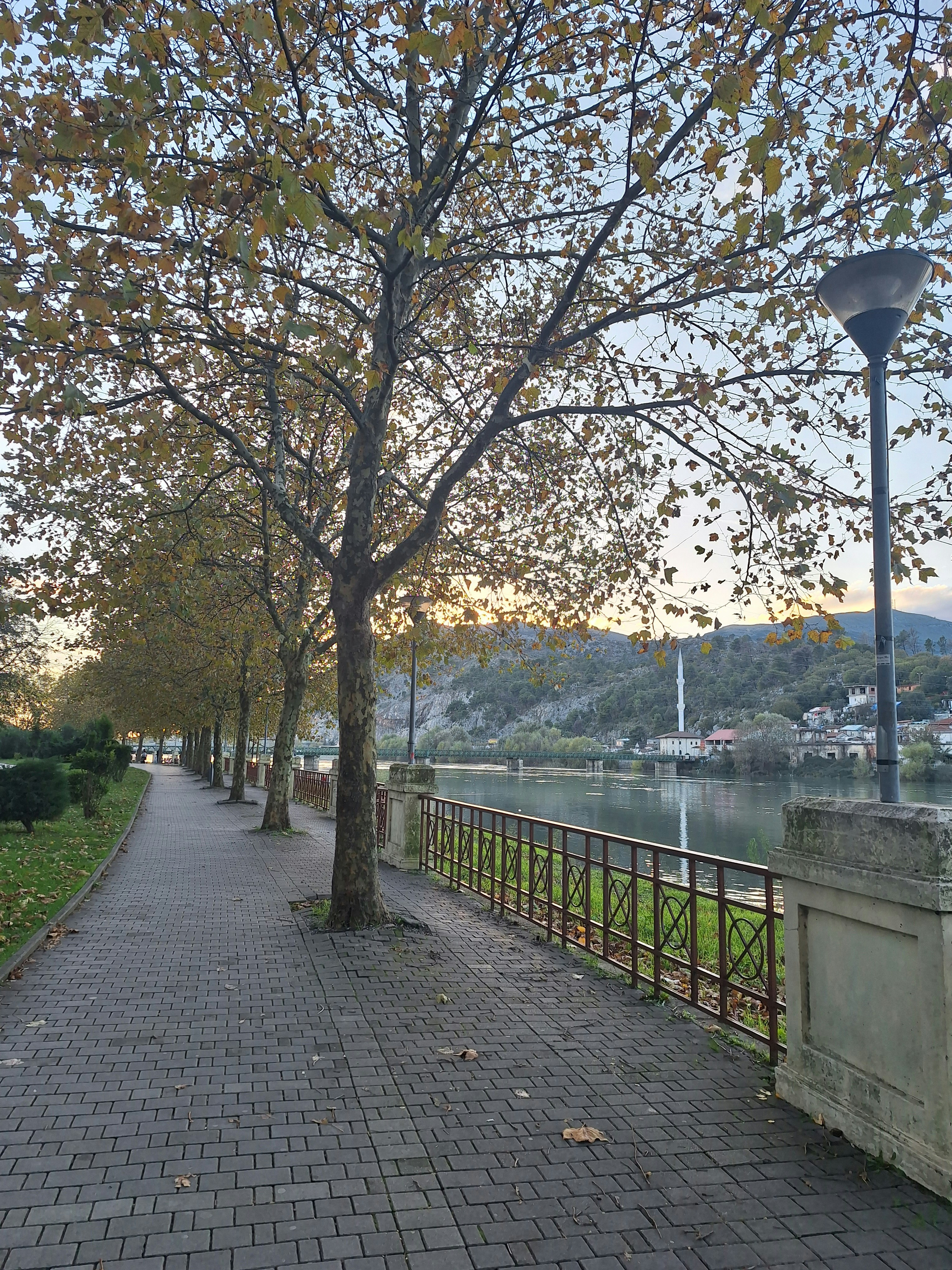 a sidewalk with a tree on the side of it