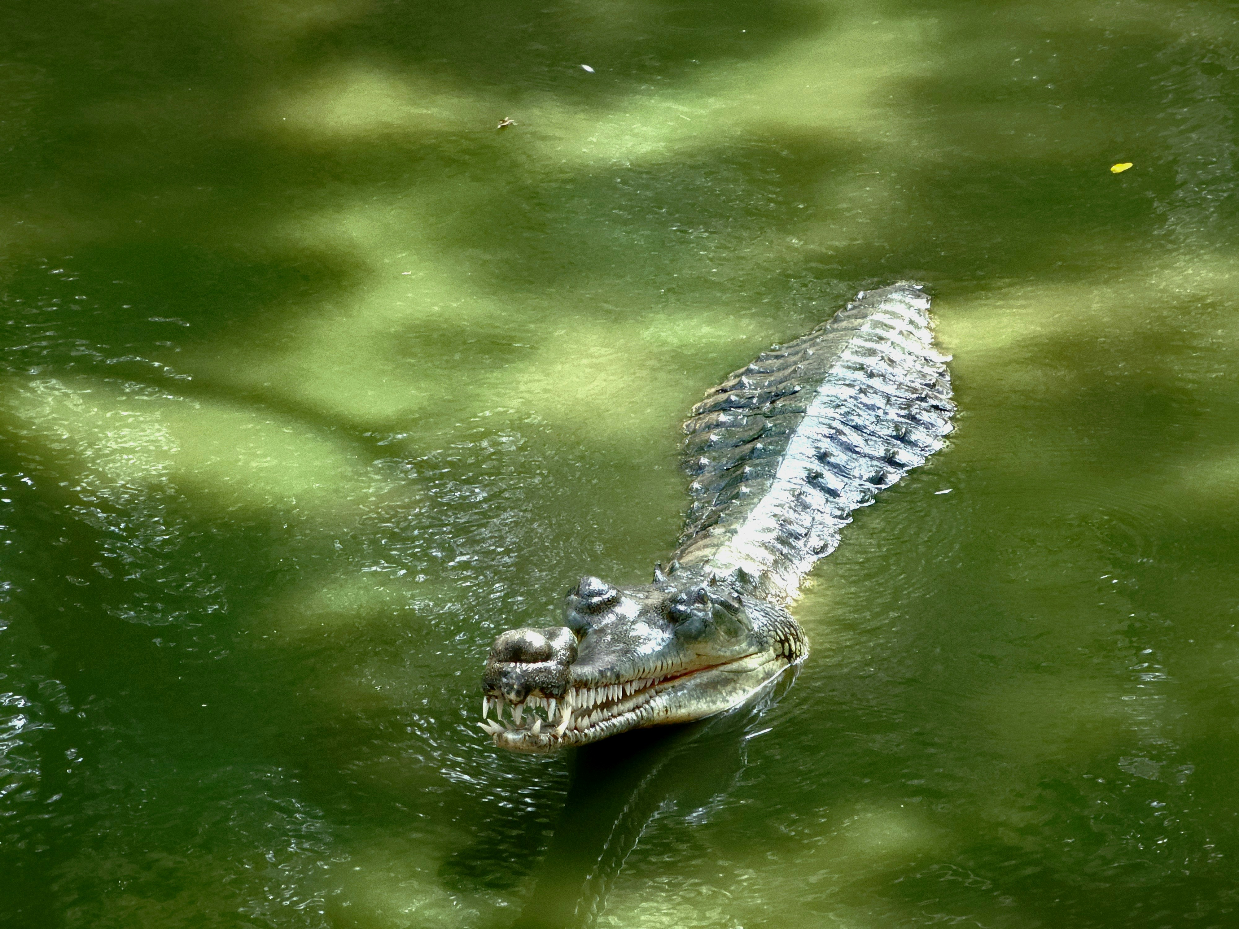 woman wearing yellow long-sleeved dress under white clouds and blue sky during daytime