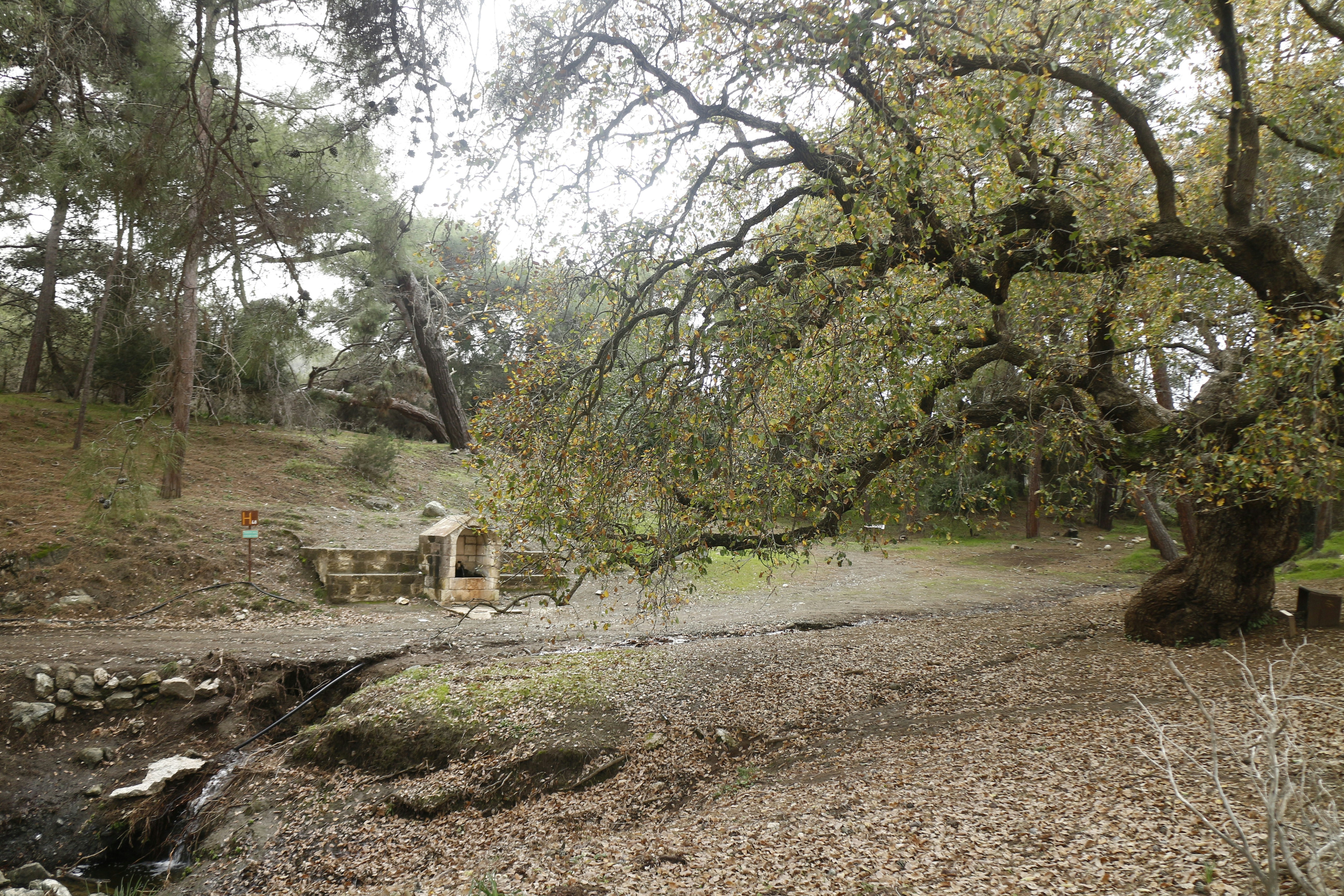 Little Shell Creek Public Use Area