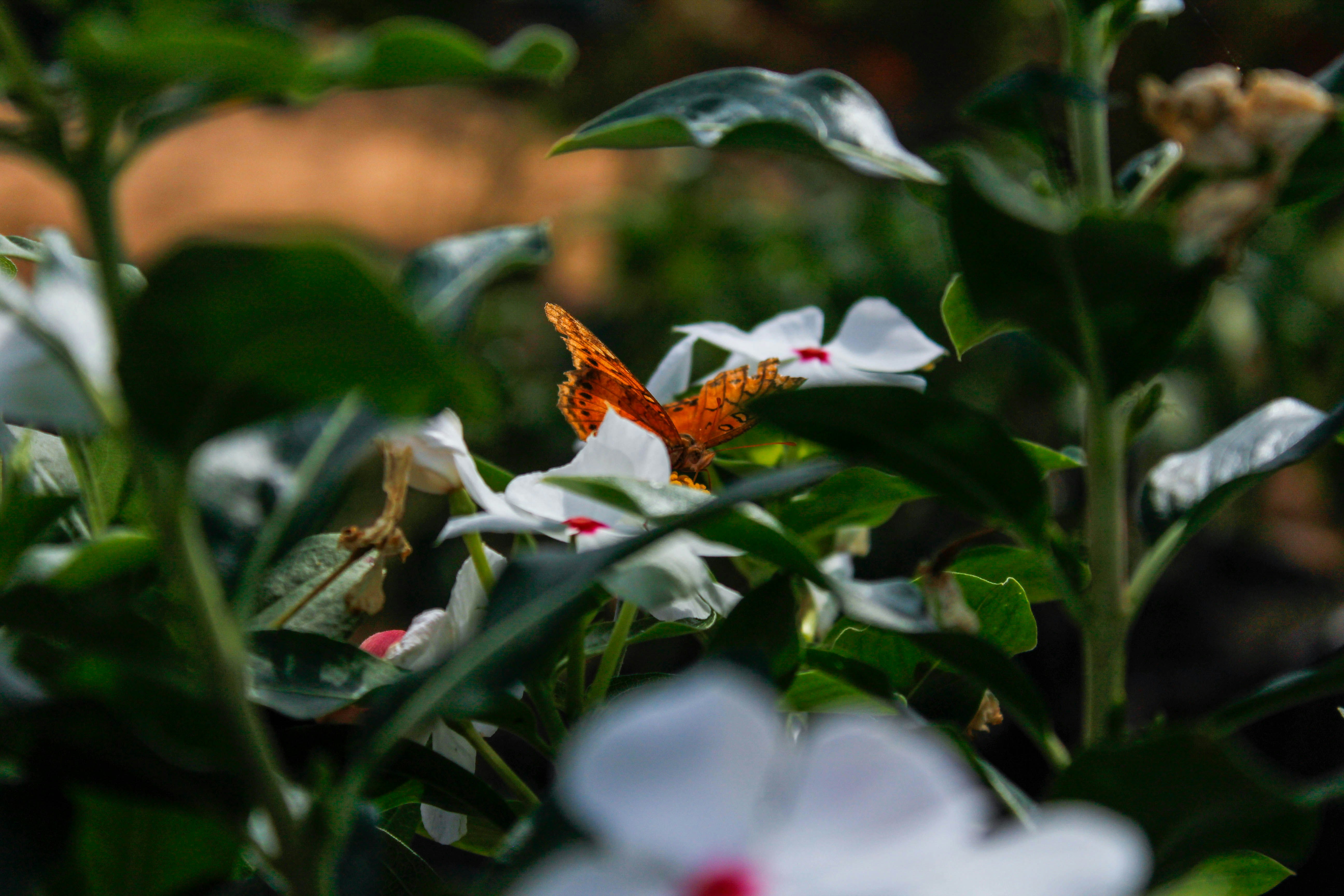 Photo by eric_silva821