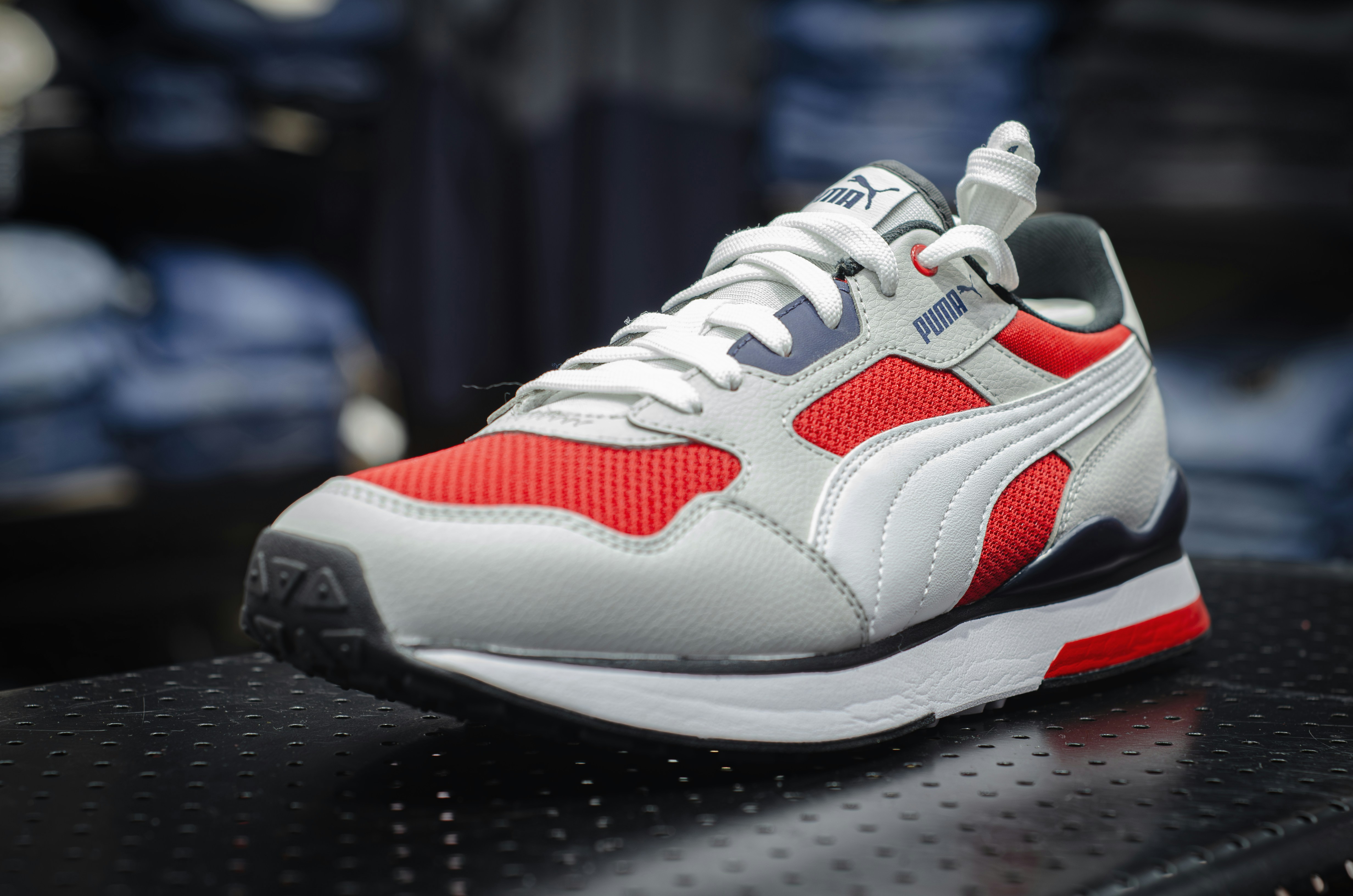 Photo by alpha_photographer