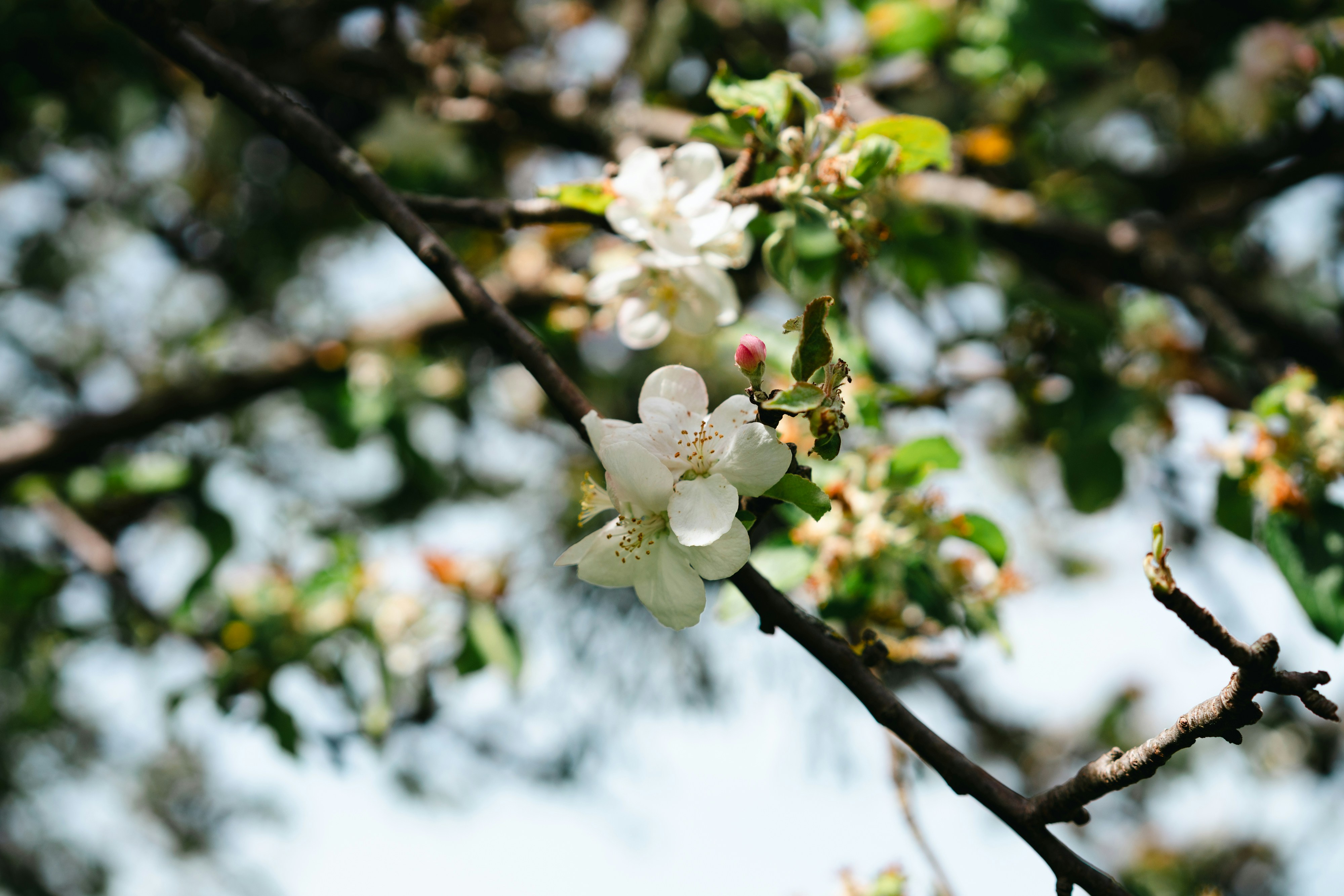 Photo by markuswinkler