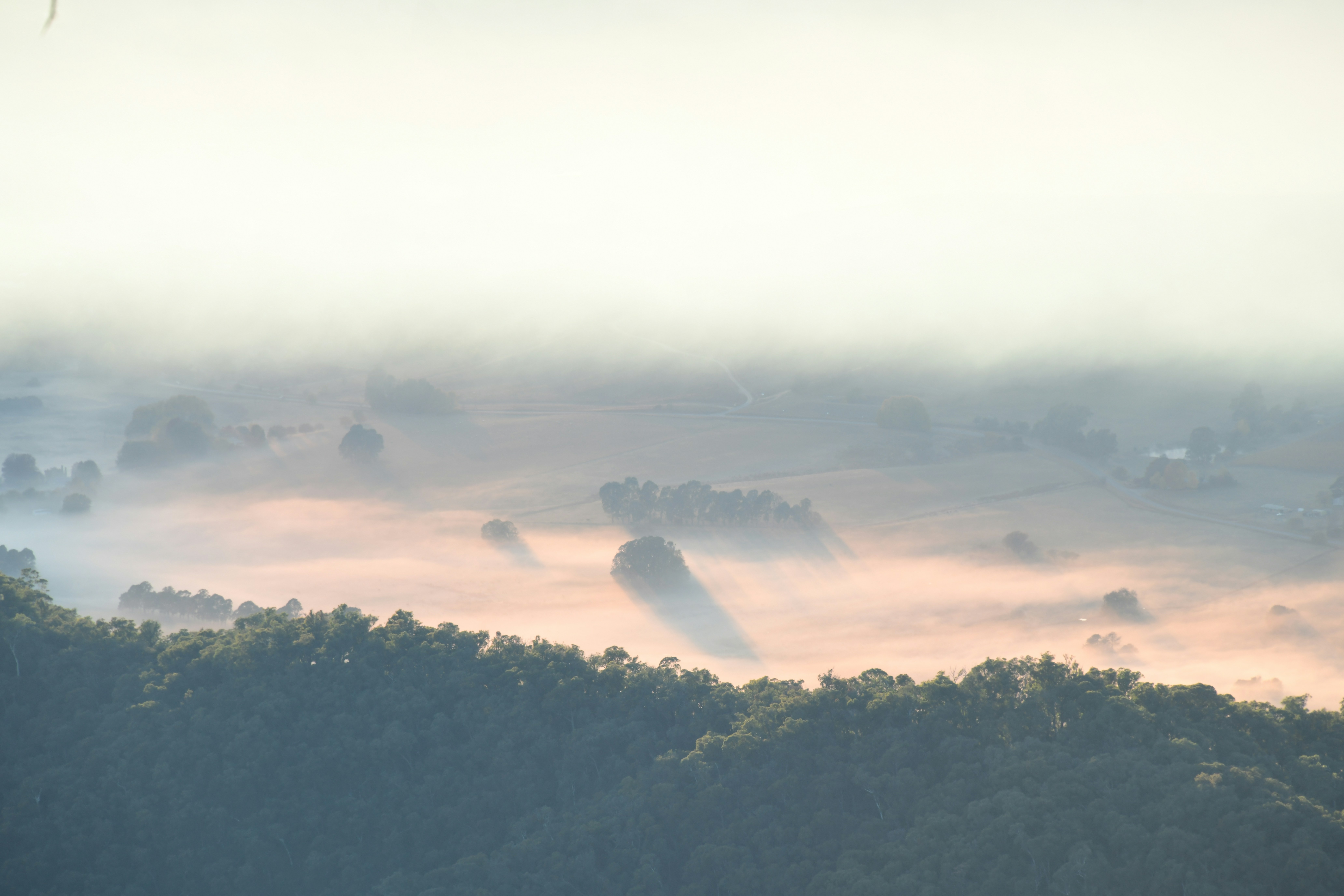 Photo by richard7seals