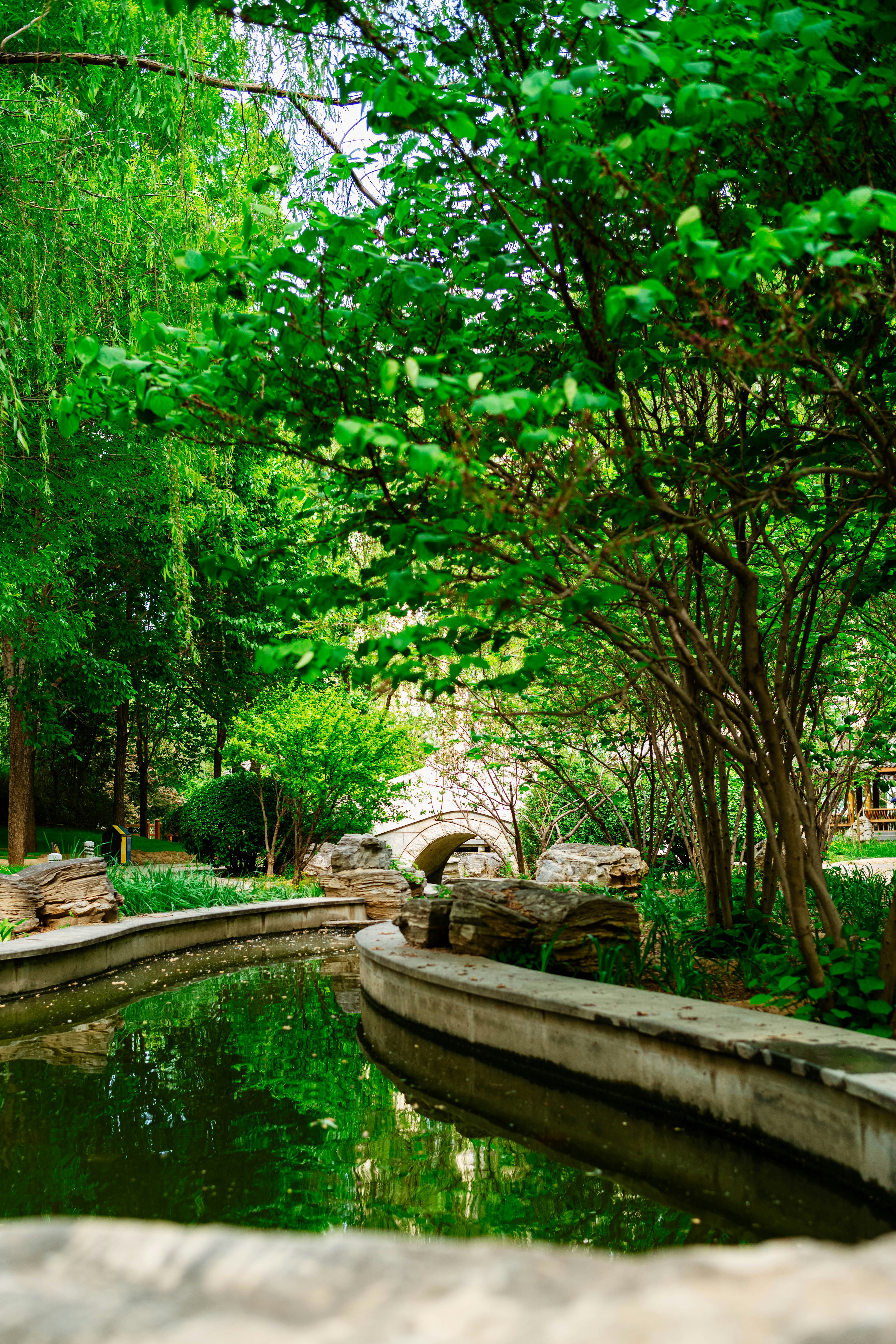 Photo by tommaomaoer