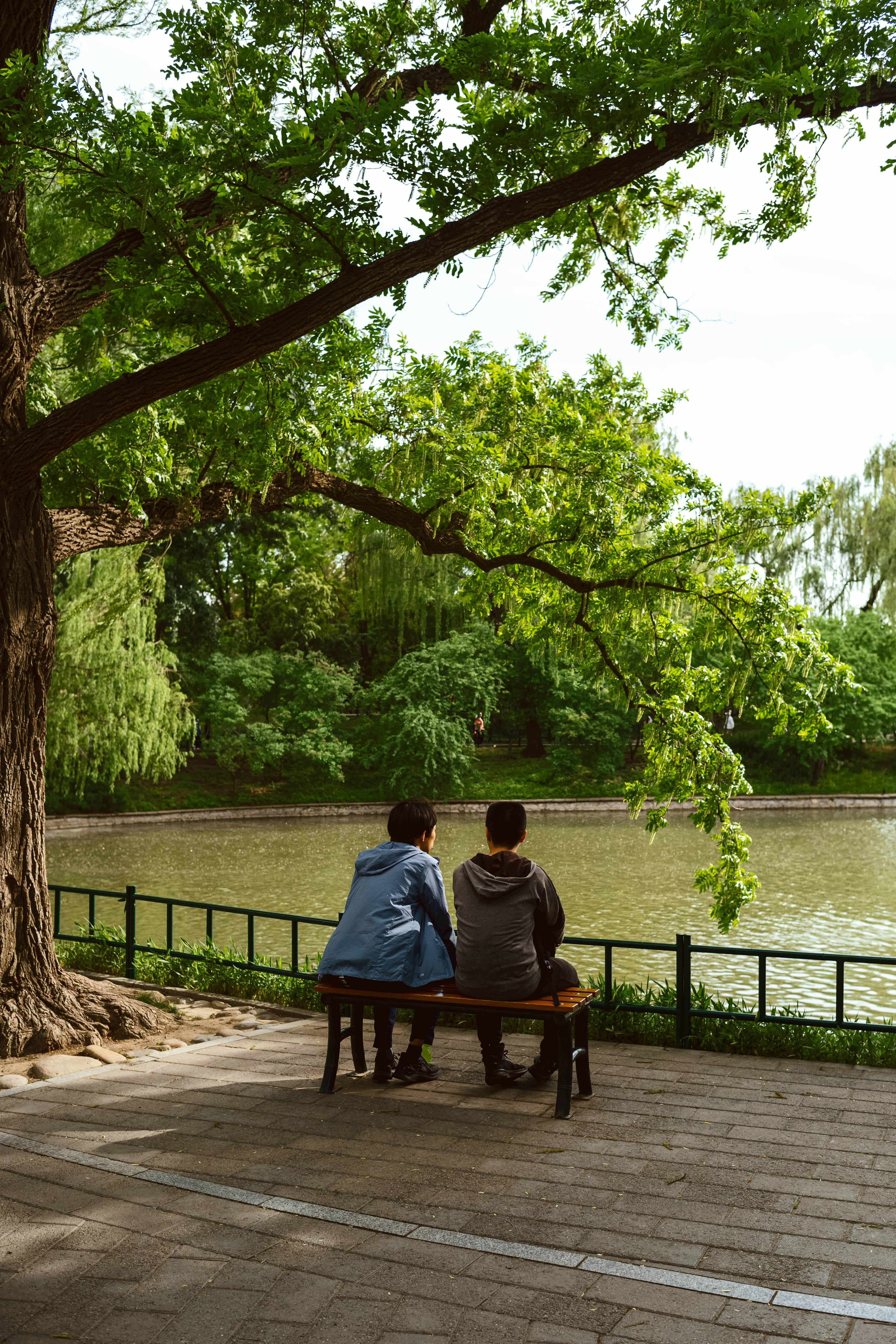 Photo by tommaomaoer