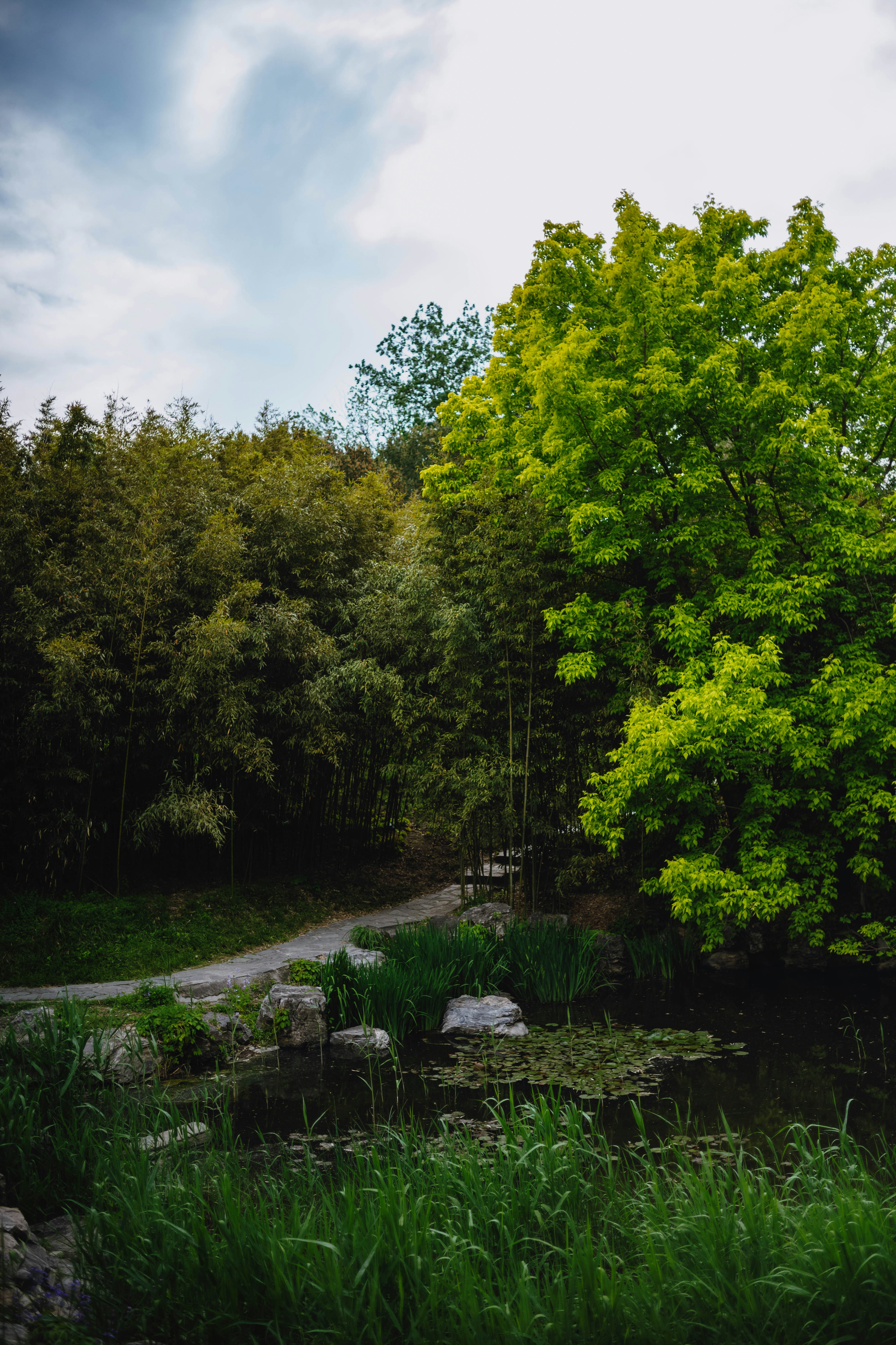 Photo by tommaomaoer