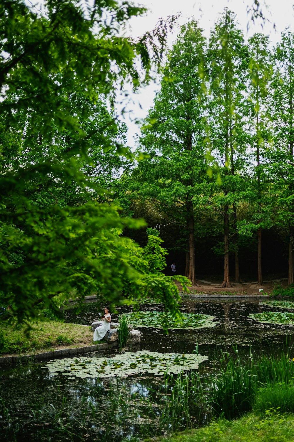 a couple of people sitting on a bench next to a pond