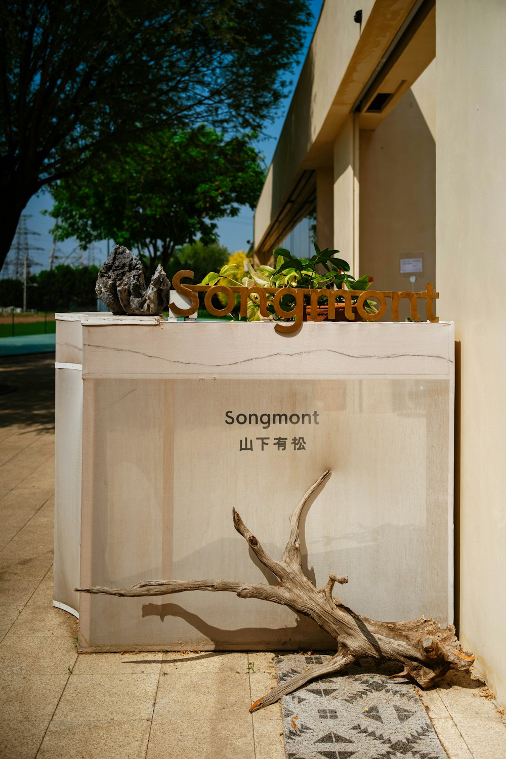 a bag sitting on the ground next to a tree