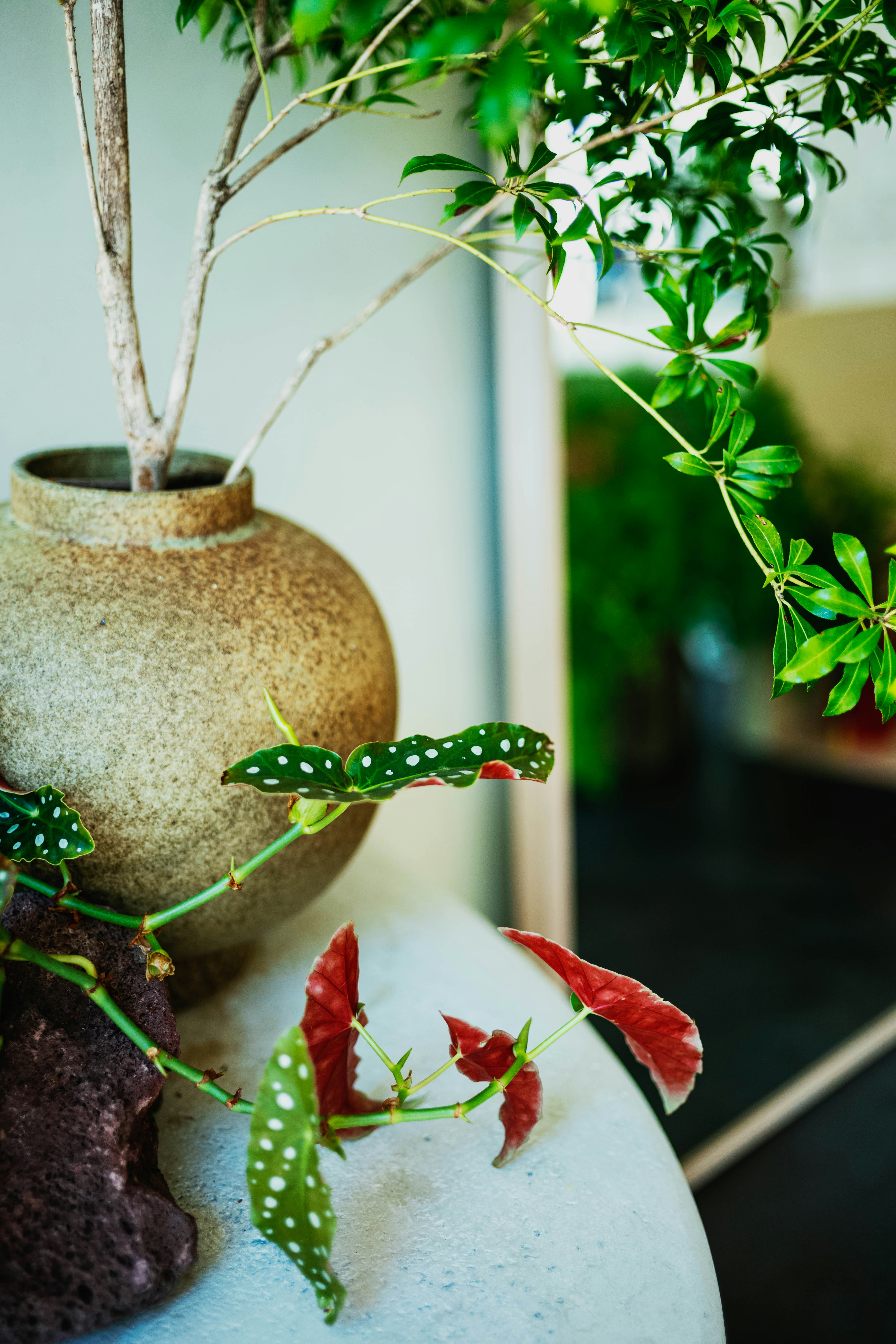 Photo by tommaomaoer