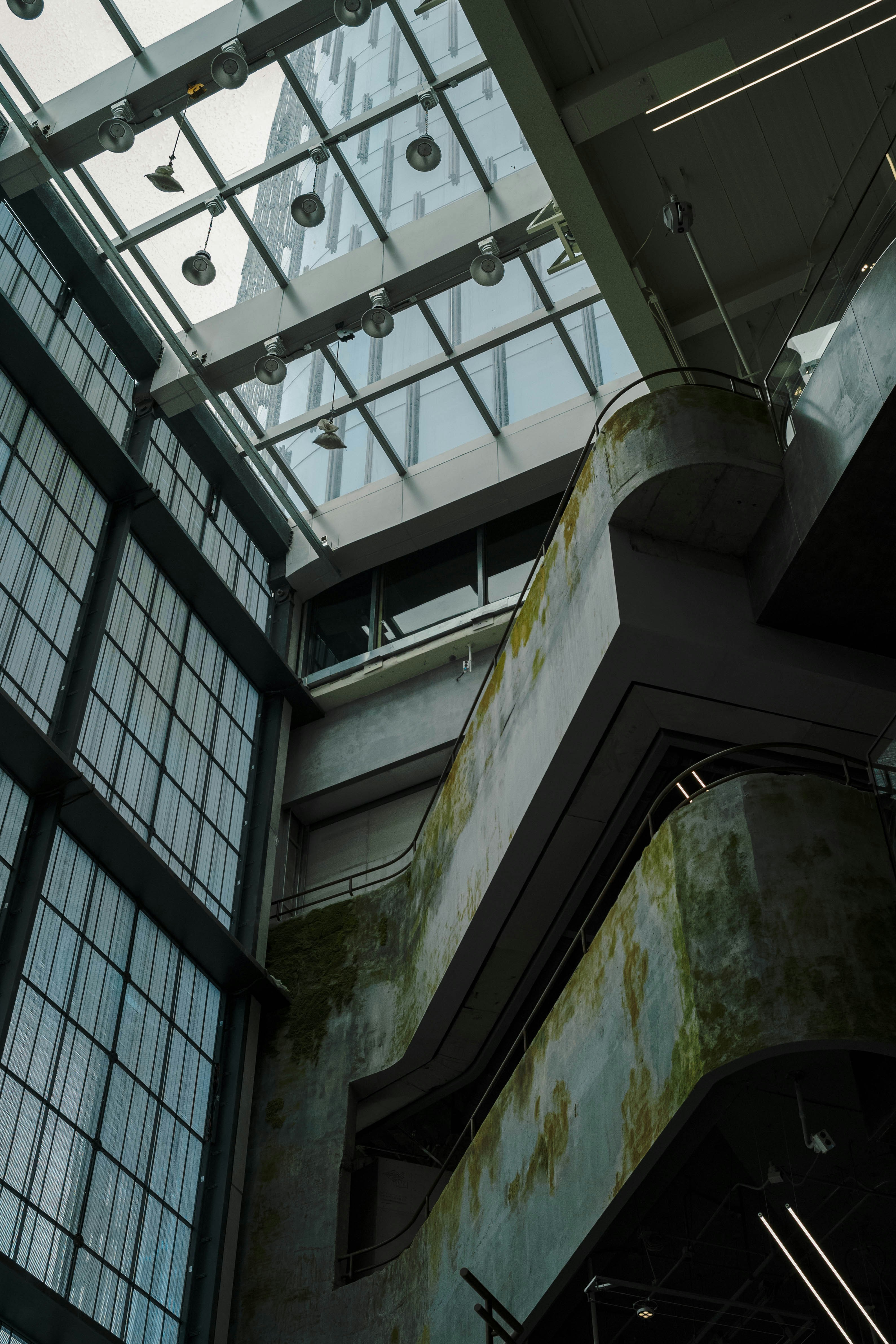 Photo by tommaomaoer