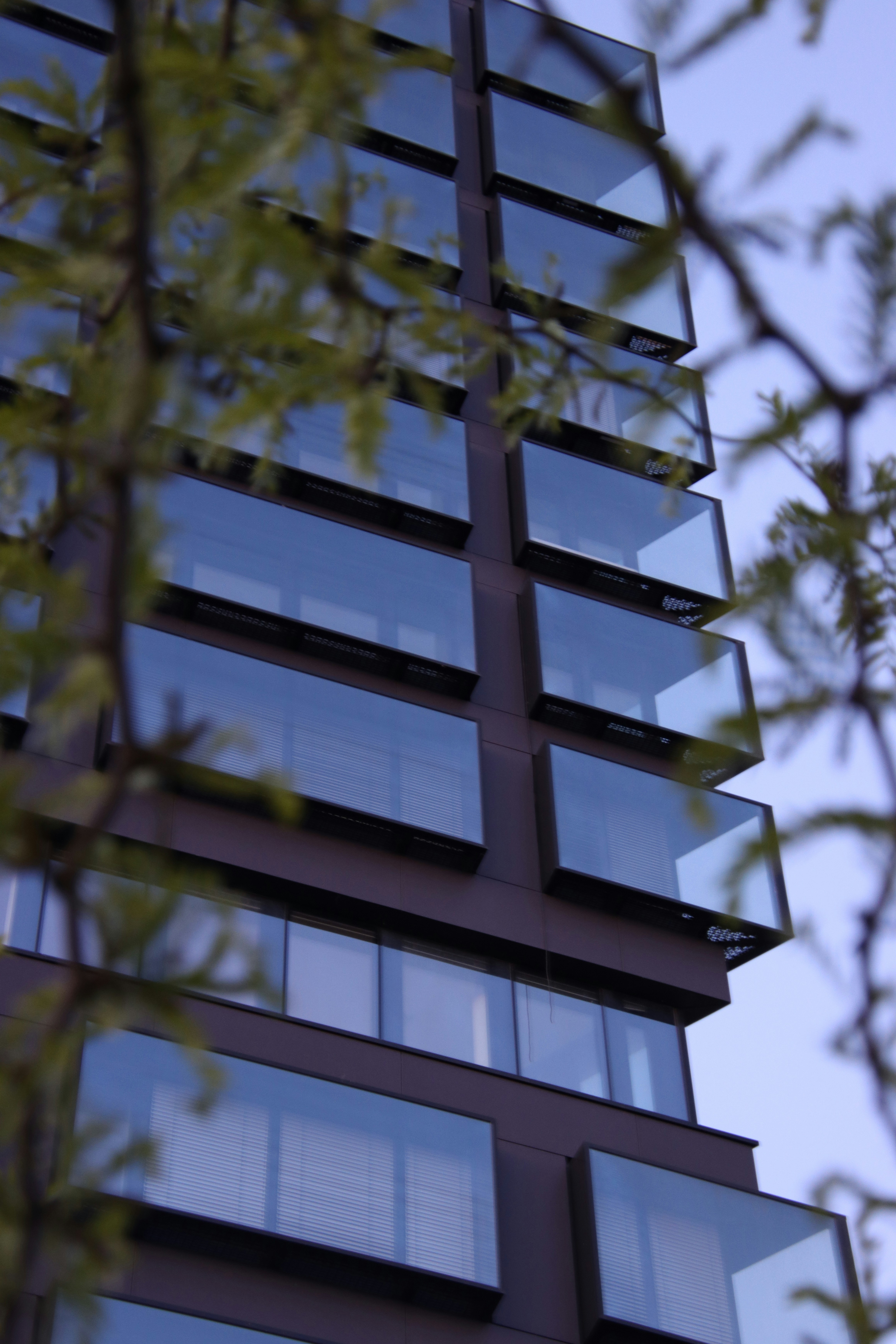 a tall building with lots of windows next to a tree