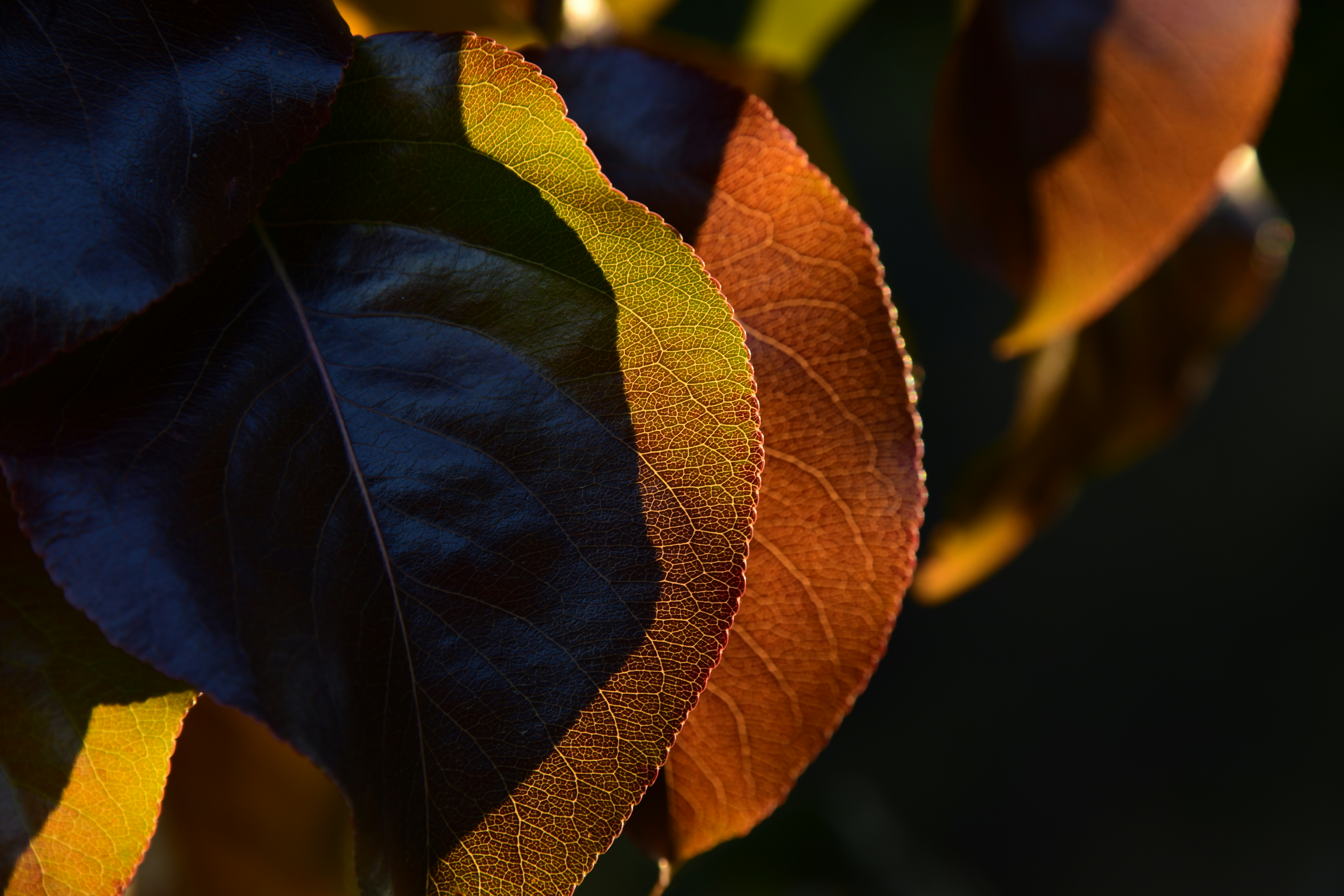 Photo by richard7seals