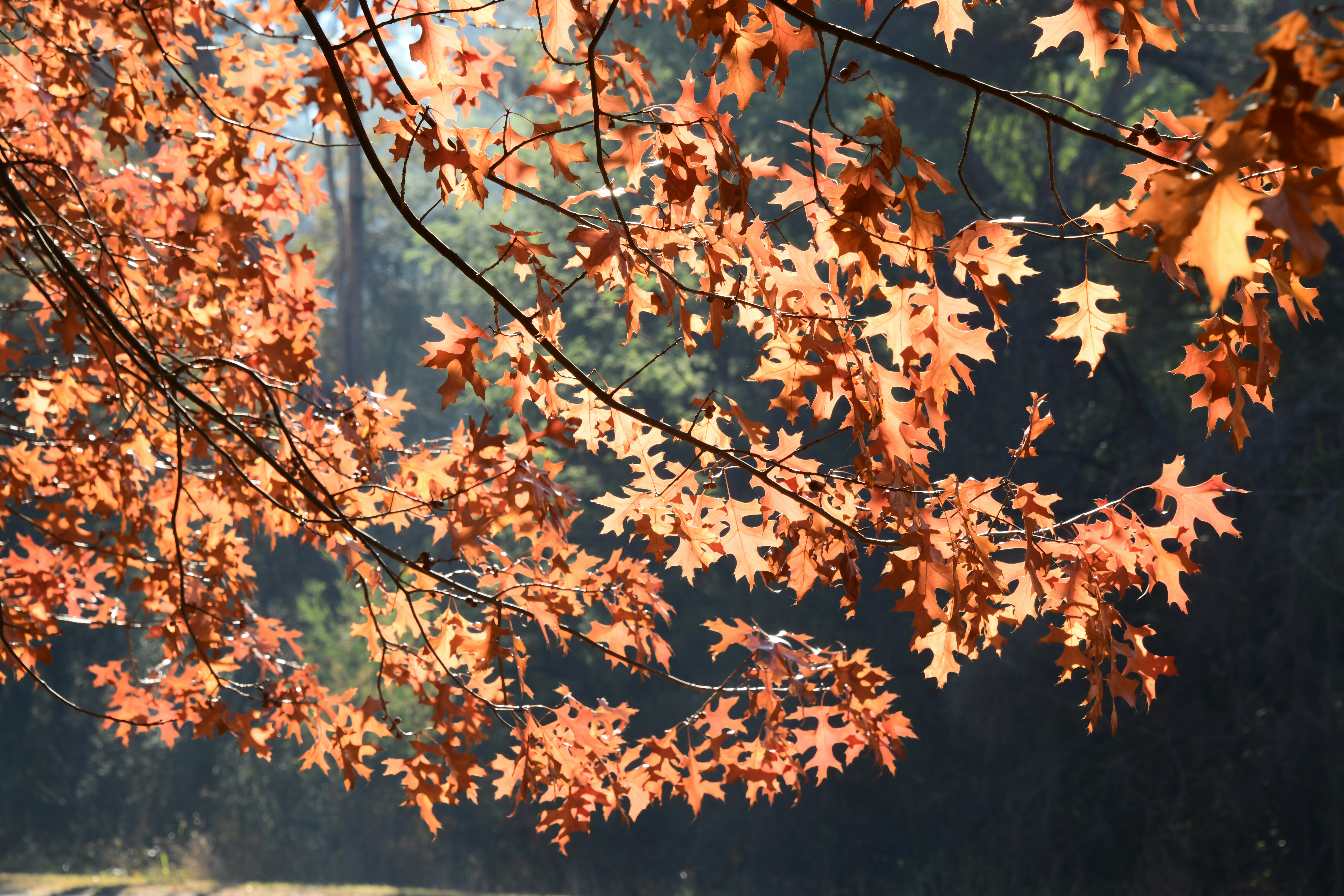 Photo by richard7seals