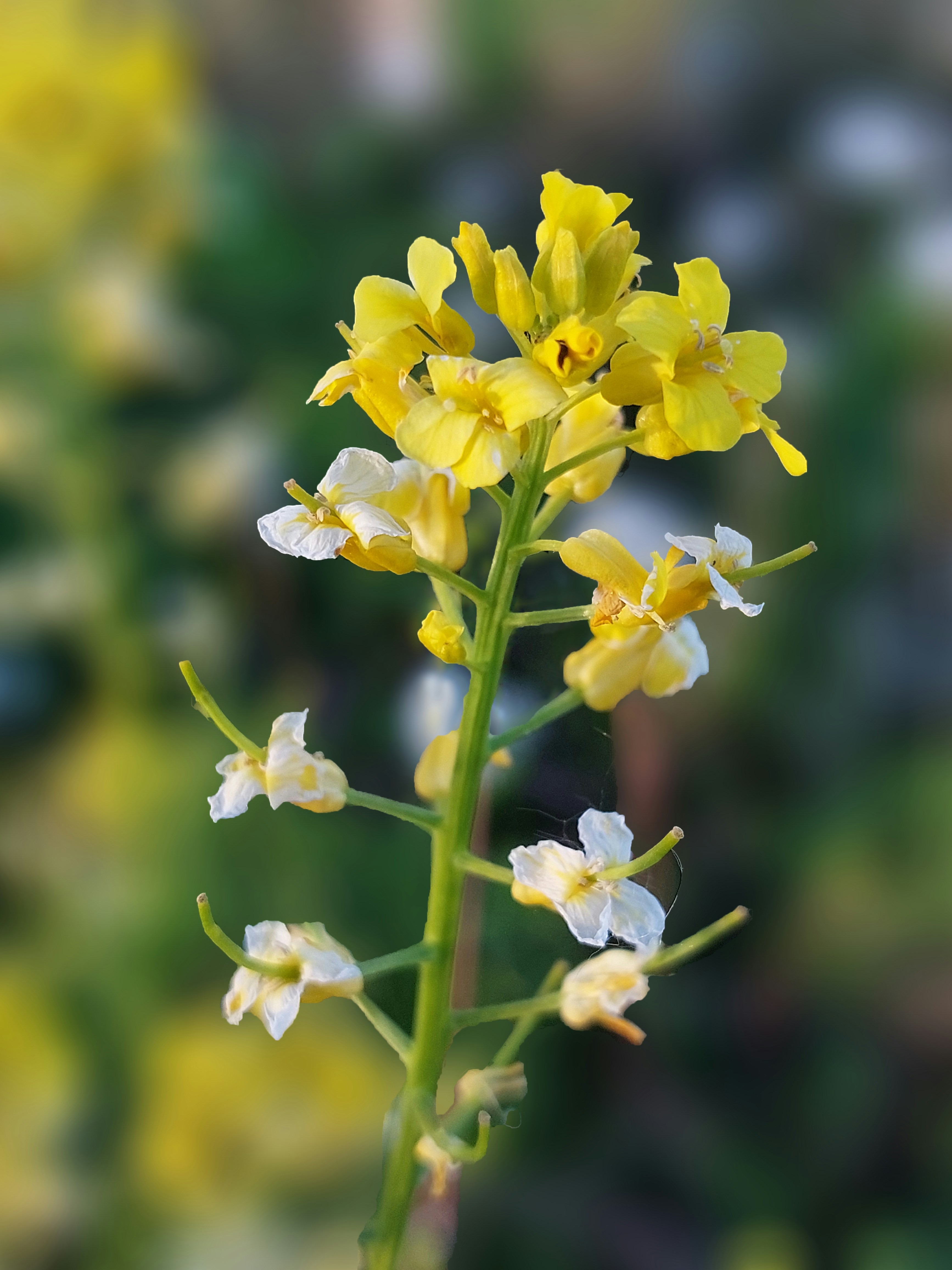 Photo by evgeni19922503