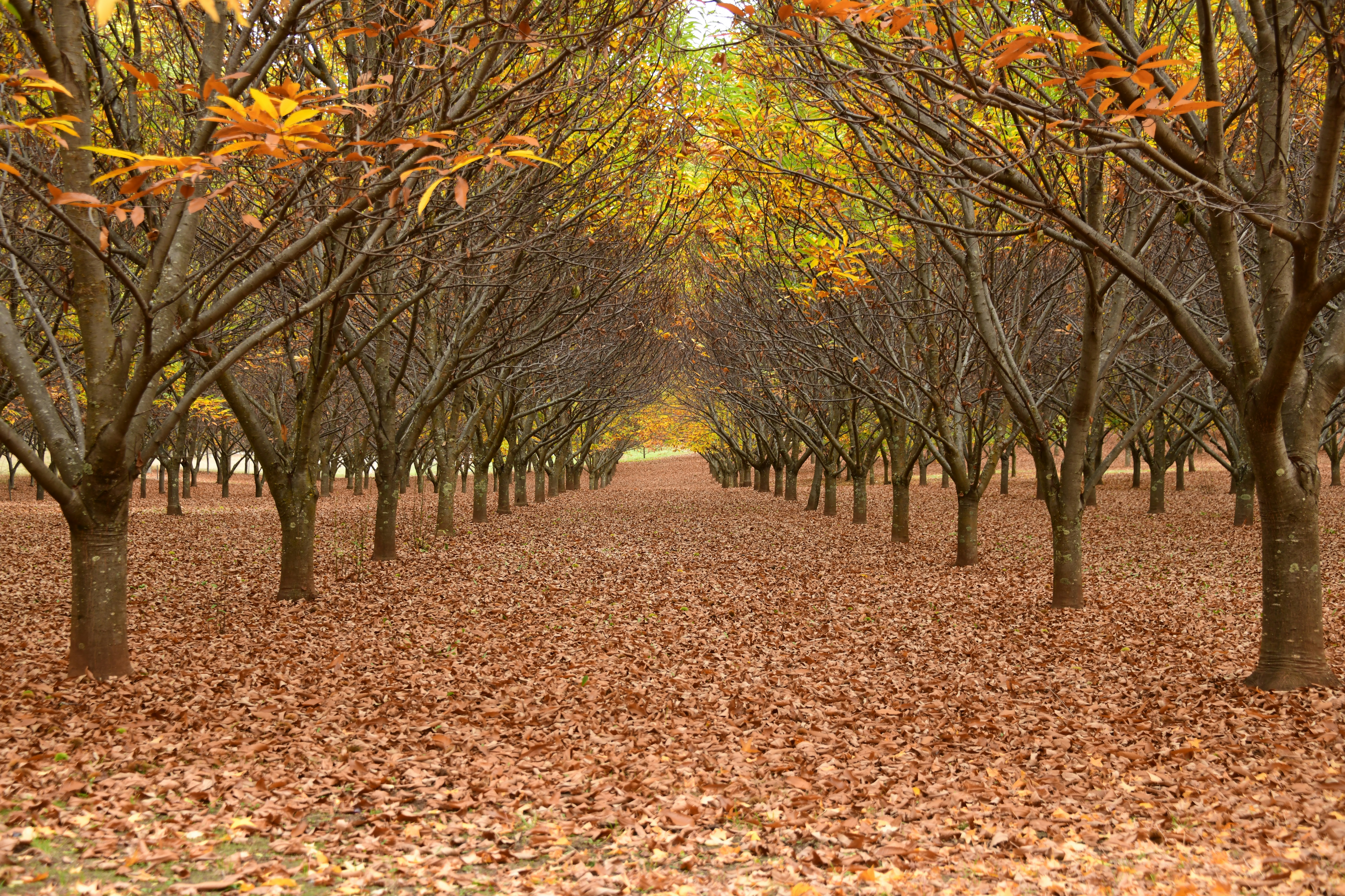 Photo by richard7seals