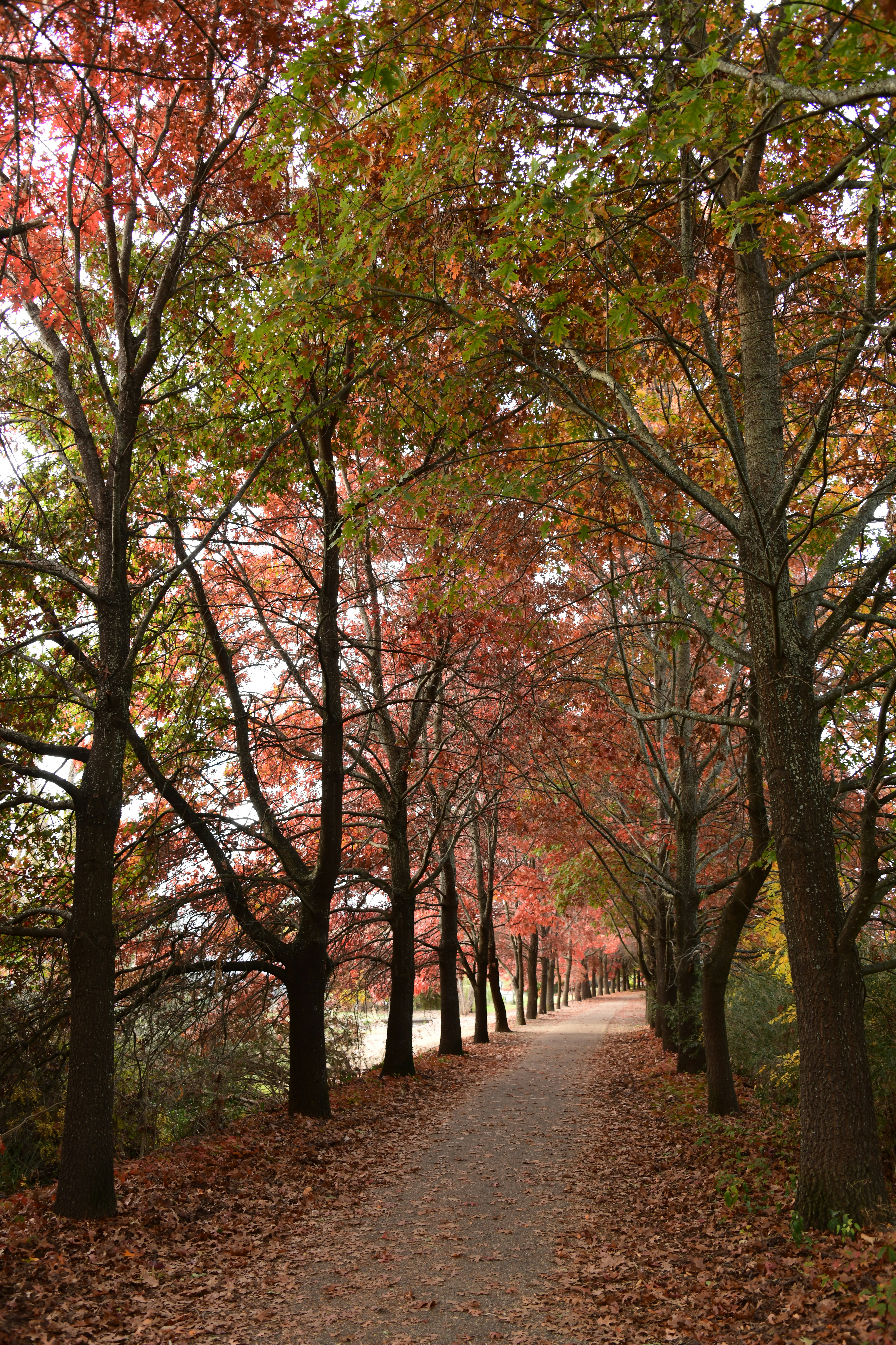 Photo by richard7seals