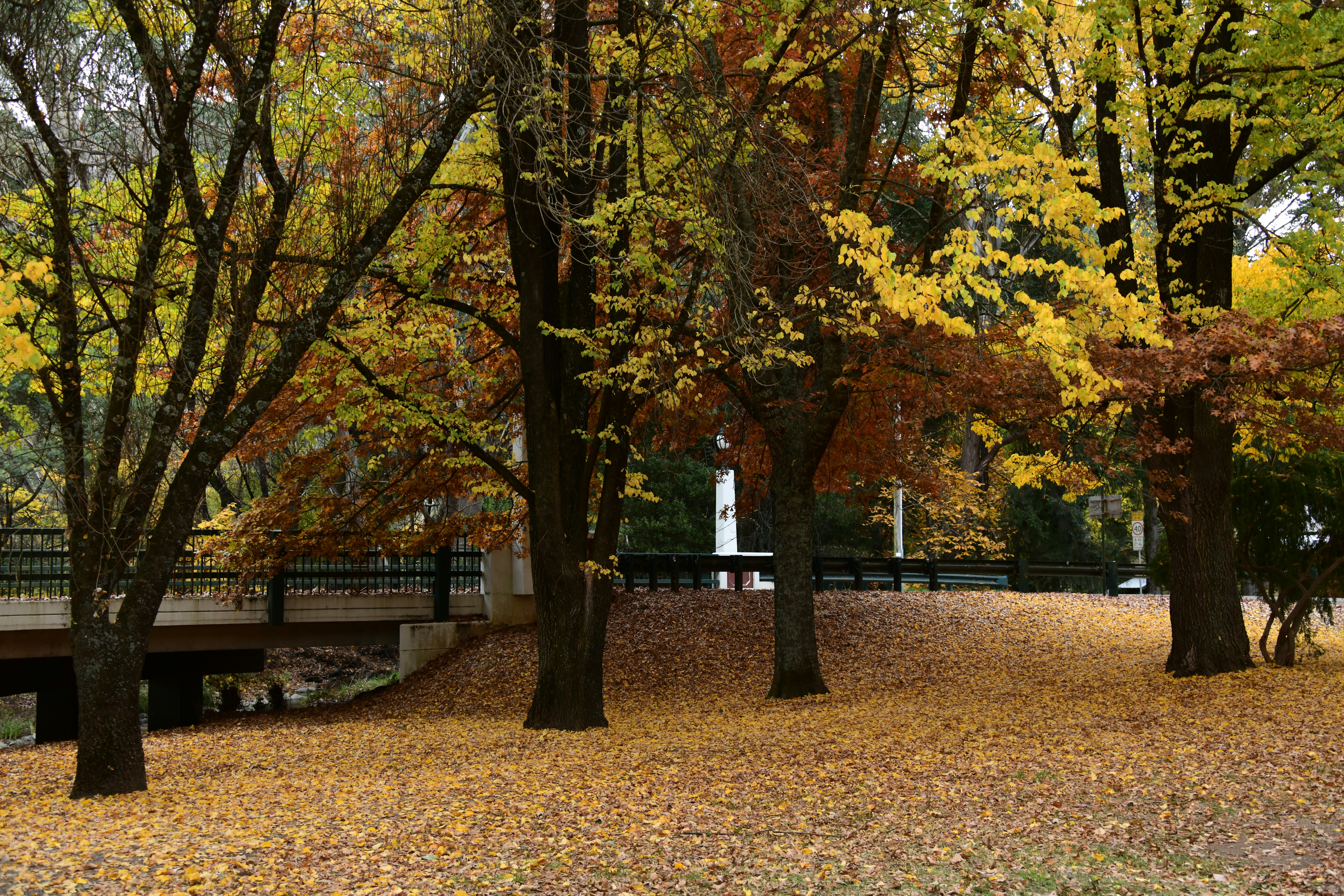 Photo by richard7seals