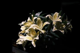 a vase filled with yellow flowers on top of a table
