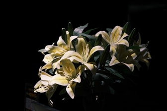 a vase filled with yellow flowers on top of a table