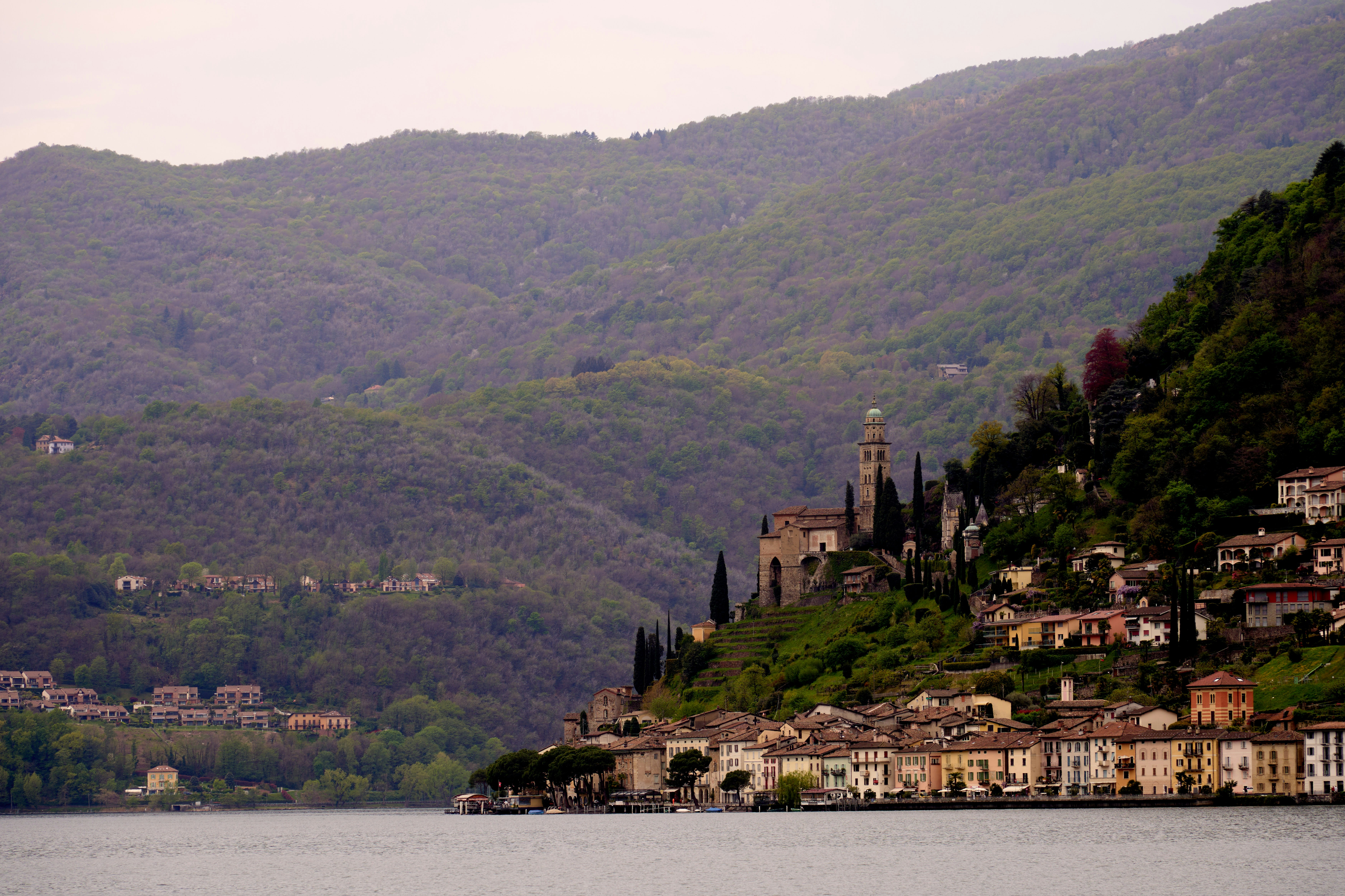 Photo by wolfgang_hasselmann