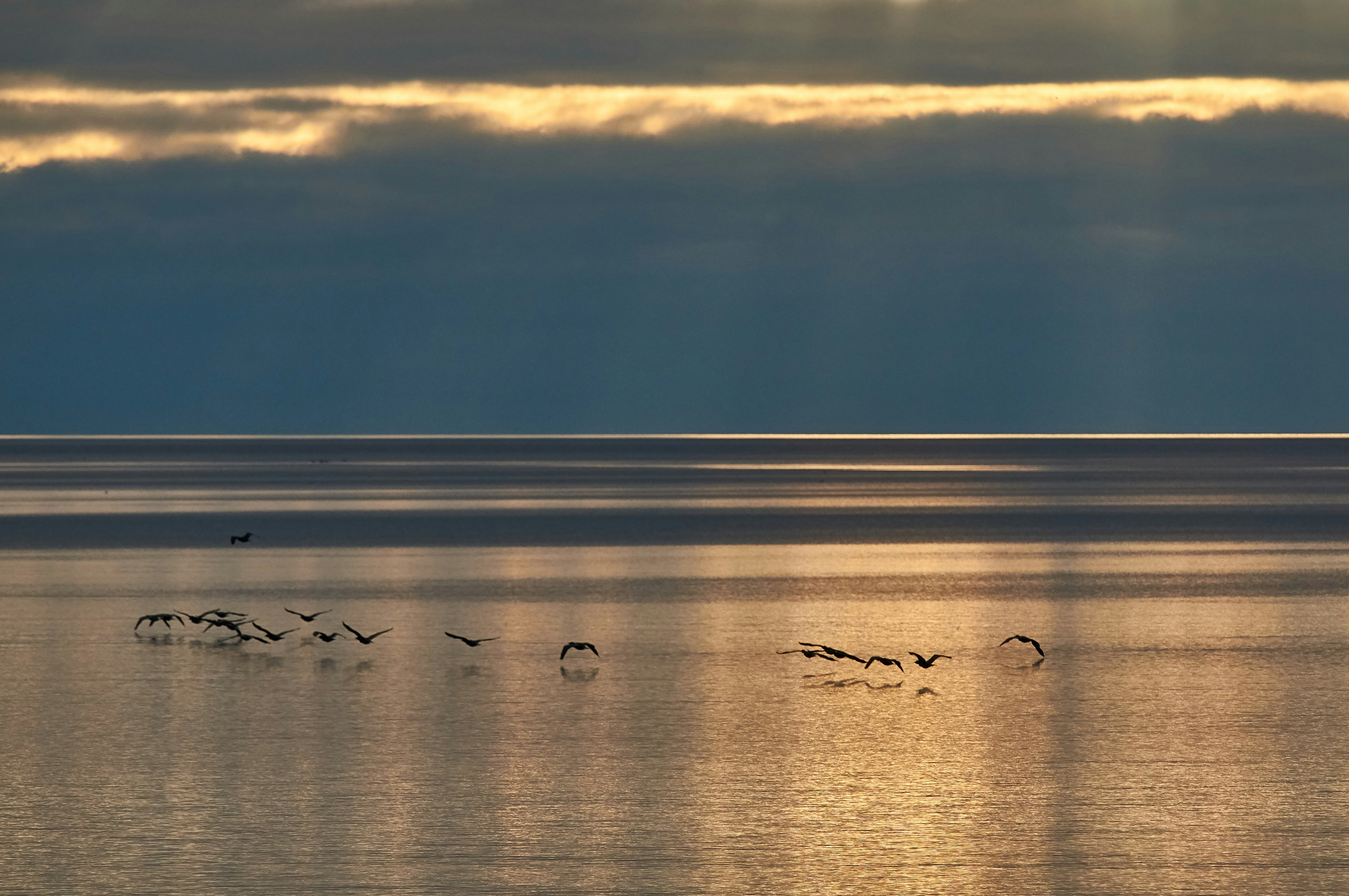 Photo by wolfgang_hasselmann