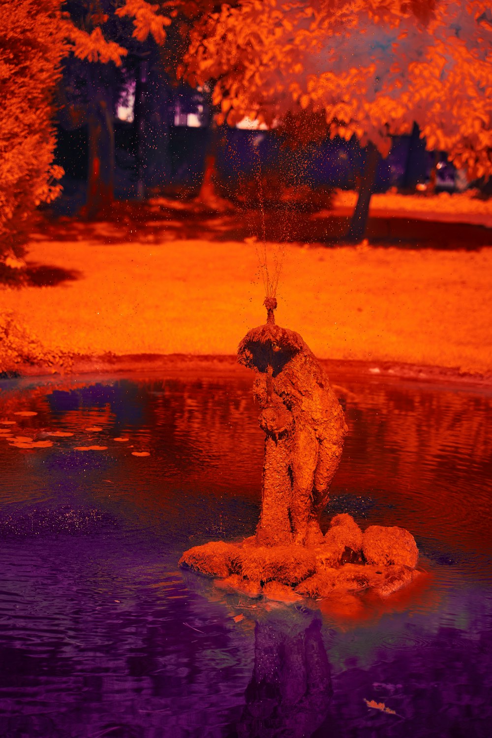 a person standing on a rock in a pond