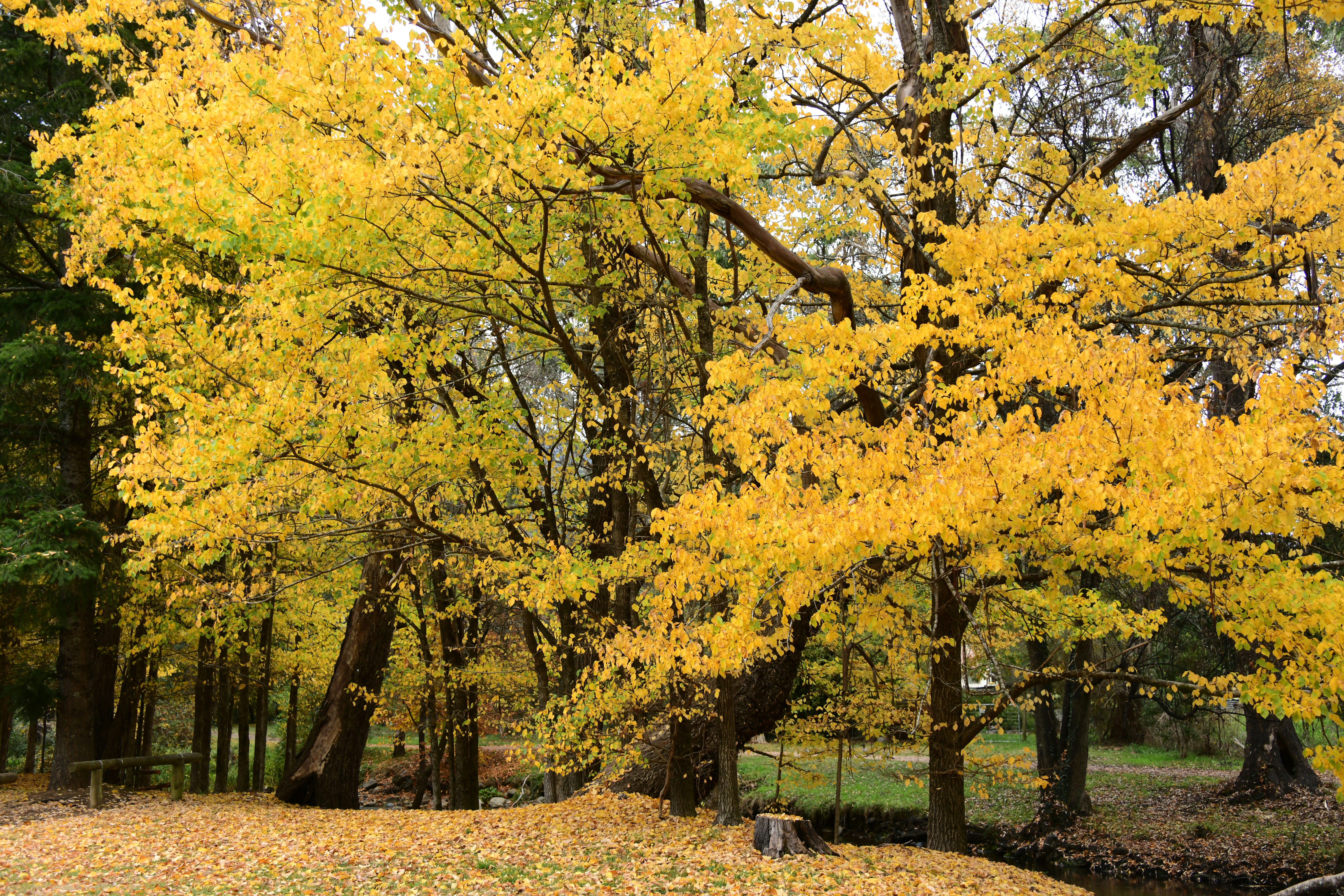 Photo by richard7seals