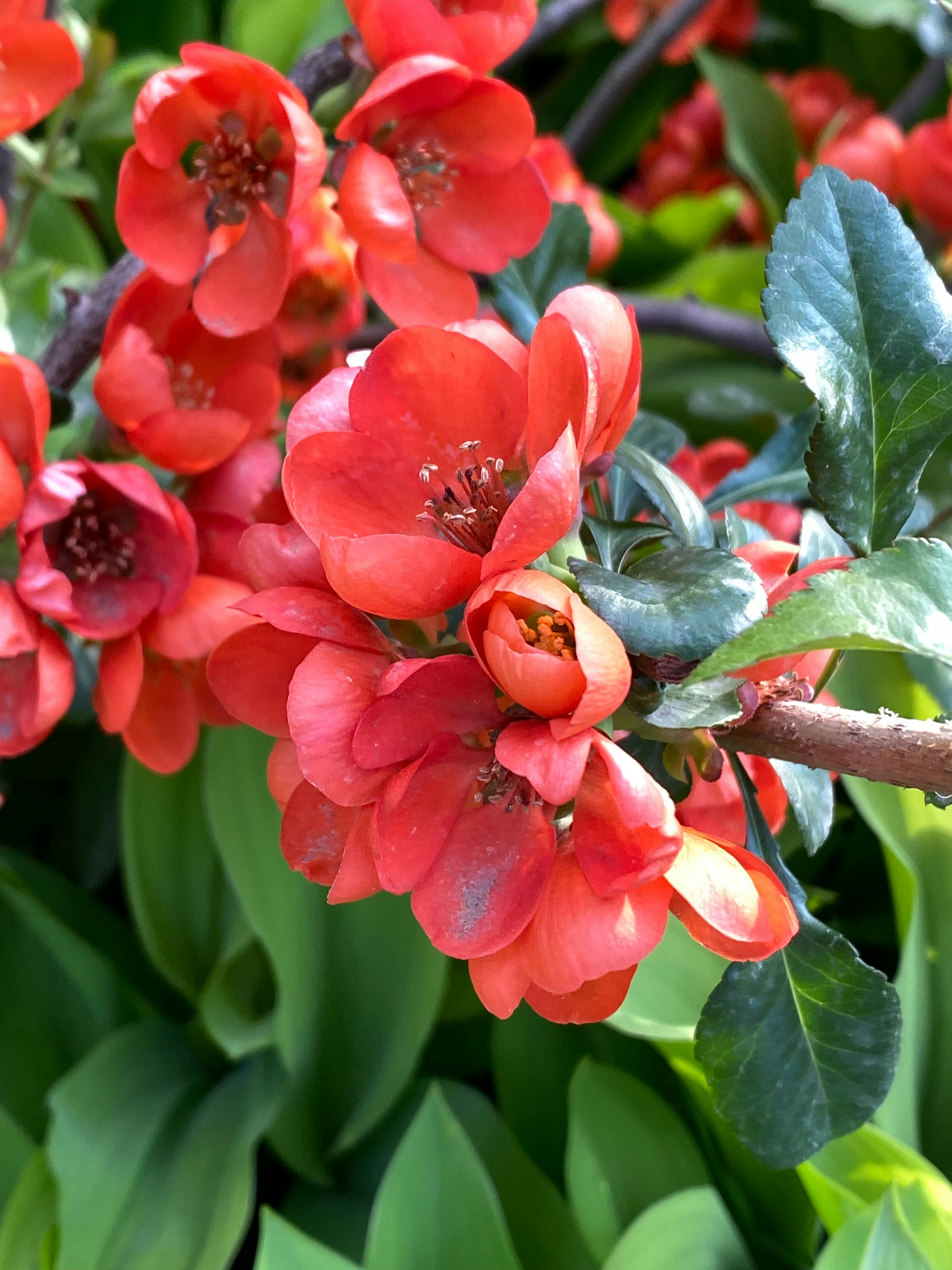 photo-1715700272055-21f28fc7e5bf?ixid=M3wxMjA3fDB8MXxzZWFyY2h8MTh8fCVEMCU5NiVEMCVCNSVEMCVCRCVEMSU4MSVEMCVCQSVEMCVCOCVEMCVCOSUyMCVEMCVCQSVEMCVCQiVEMSU4MyVEMCVCMSUyMCVEMCU5MiVEMCVCRSVEMSU4MCVEMCVCRSVEMCVCRCVEMCVCNSVEMCVCNnxlbnwwfHx8fDE3MzQ2MDE3NzR8MA\u0026ixlib=rb-4.0.3