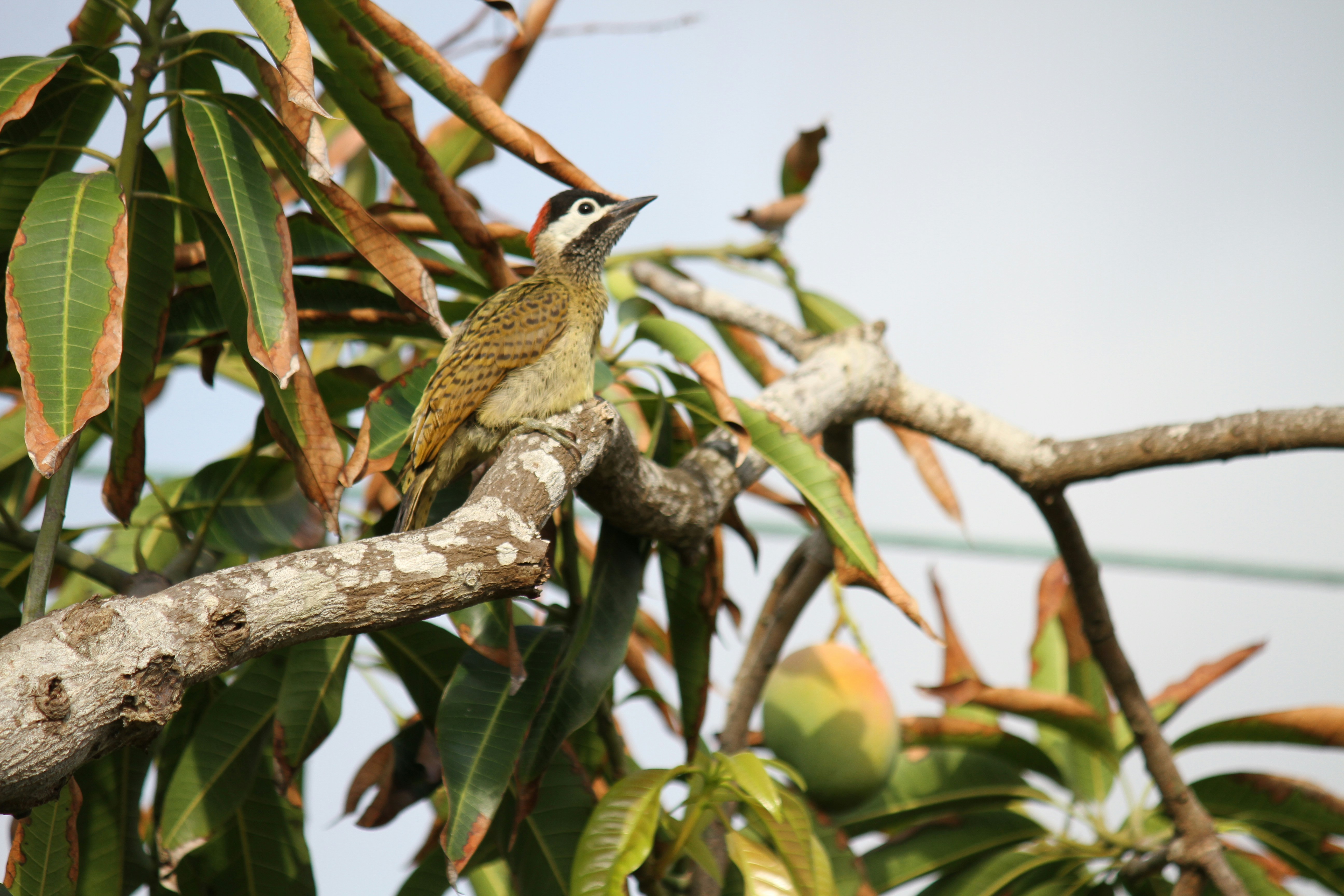 Photo by disfruta_cafe