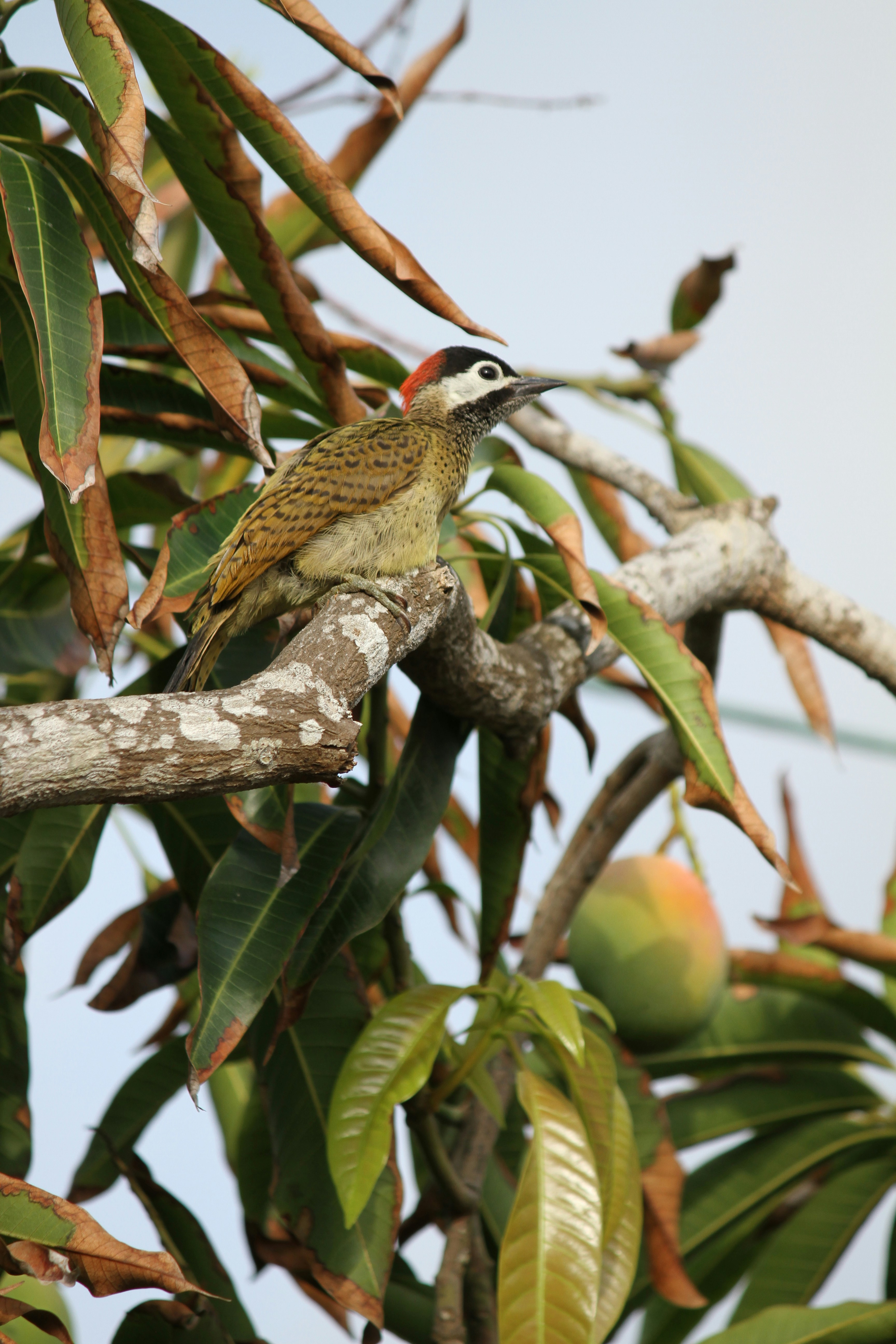 Photo by disfruta_cafe