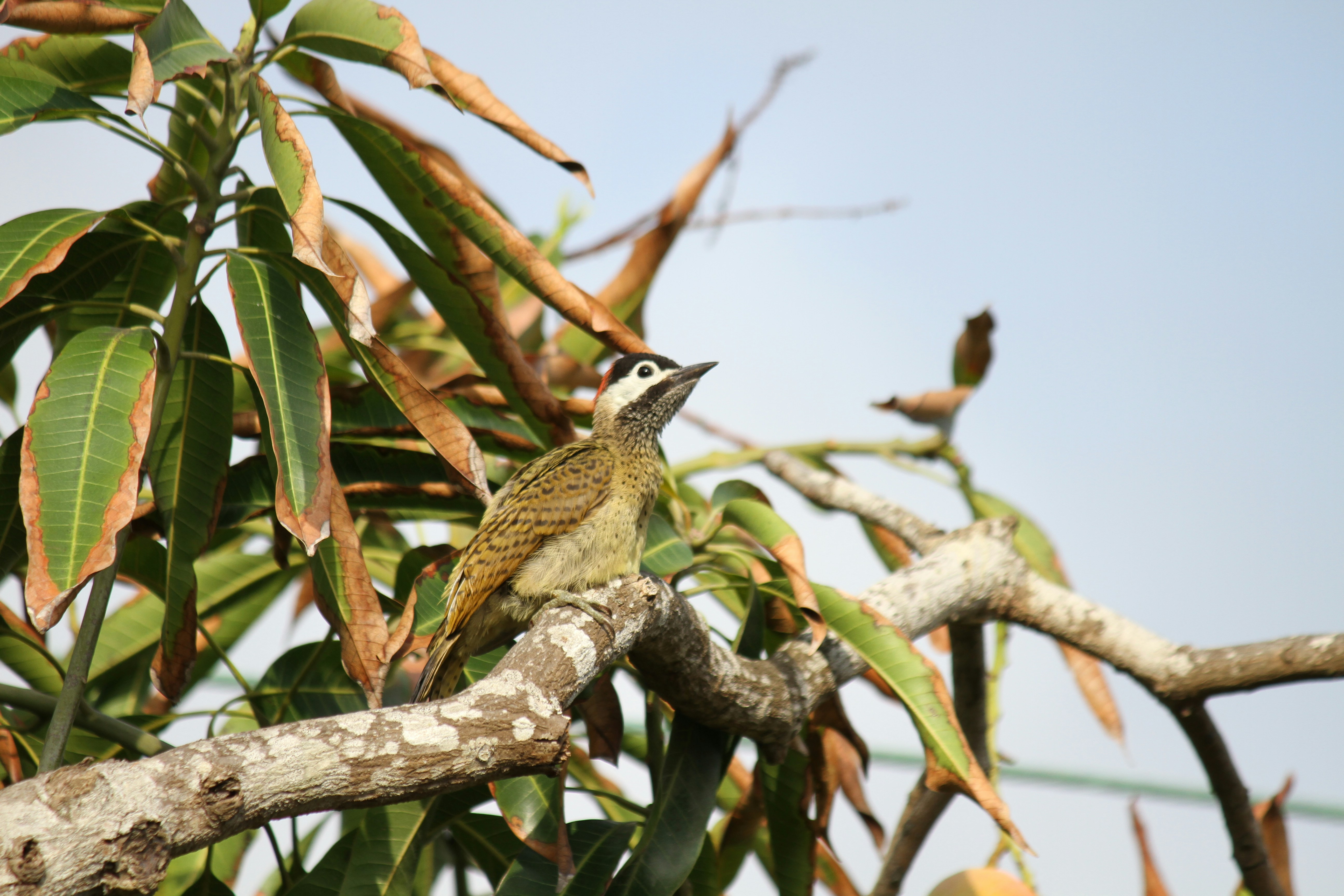 Photo by disfruta_cafe