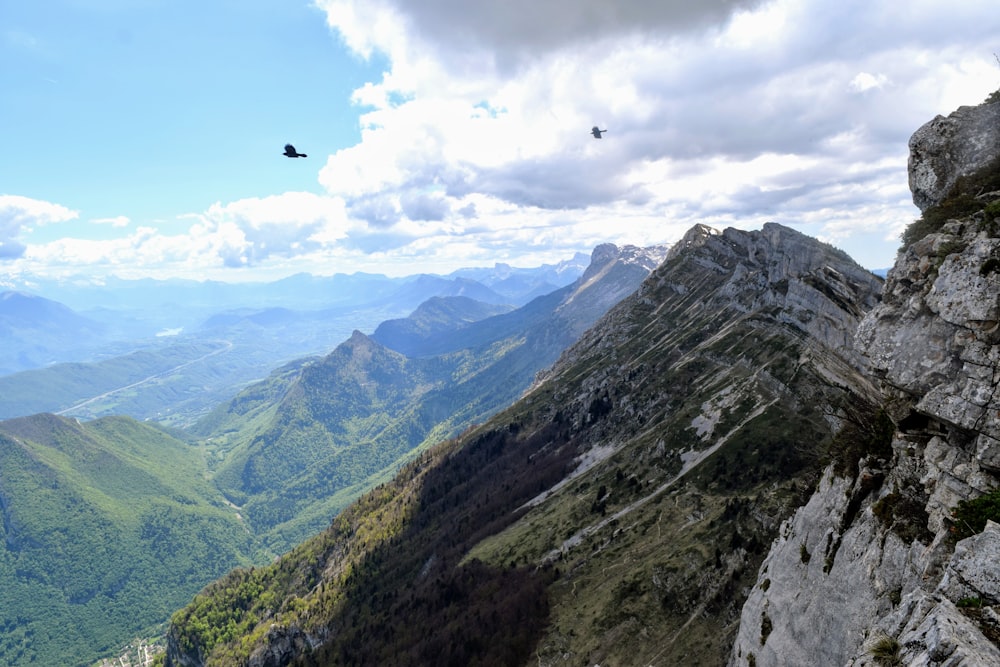 a bird flying over a mountain range on a cloudy day