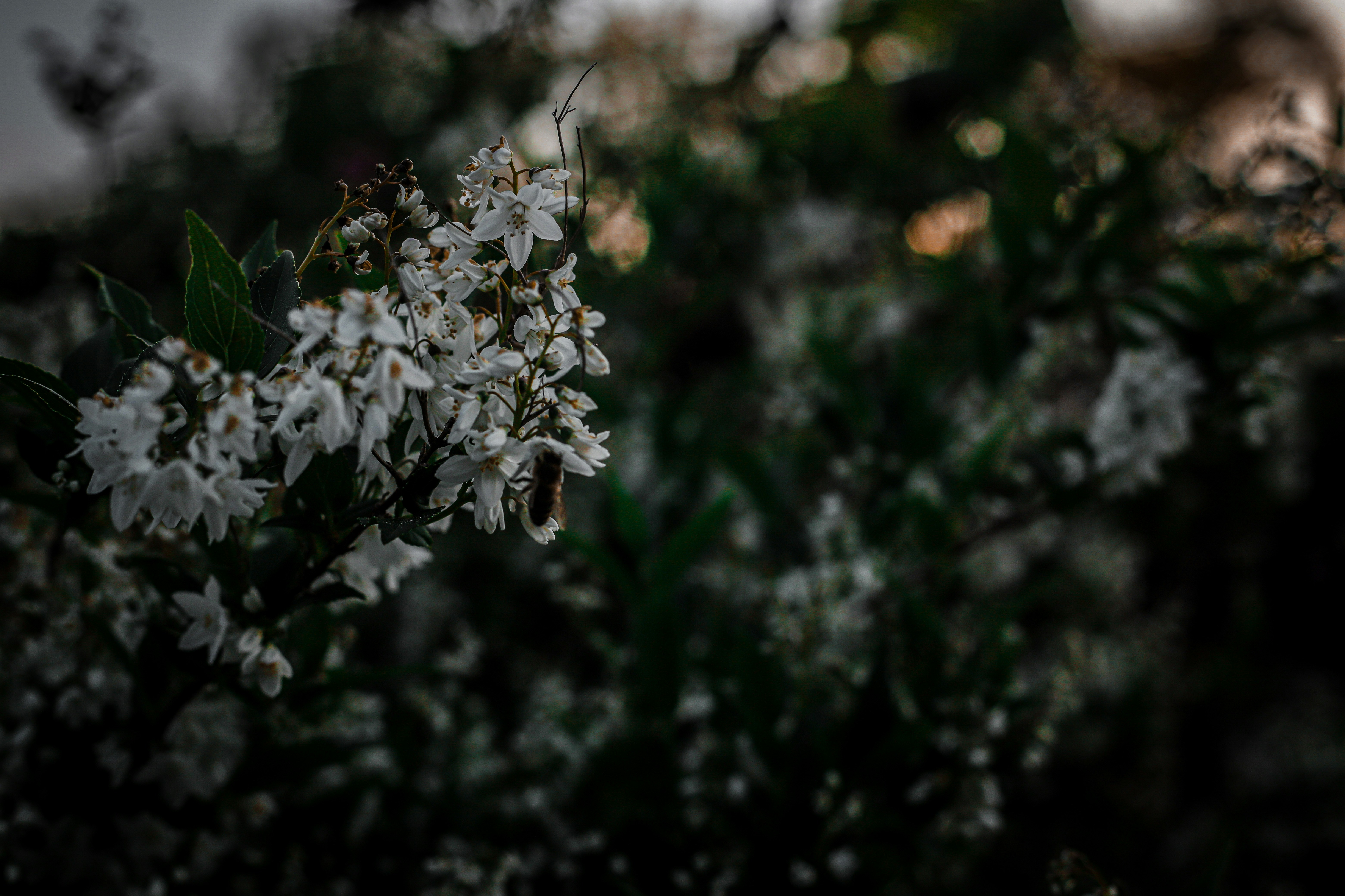 Photo by mo_tographie