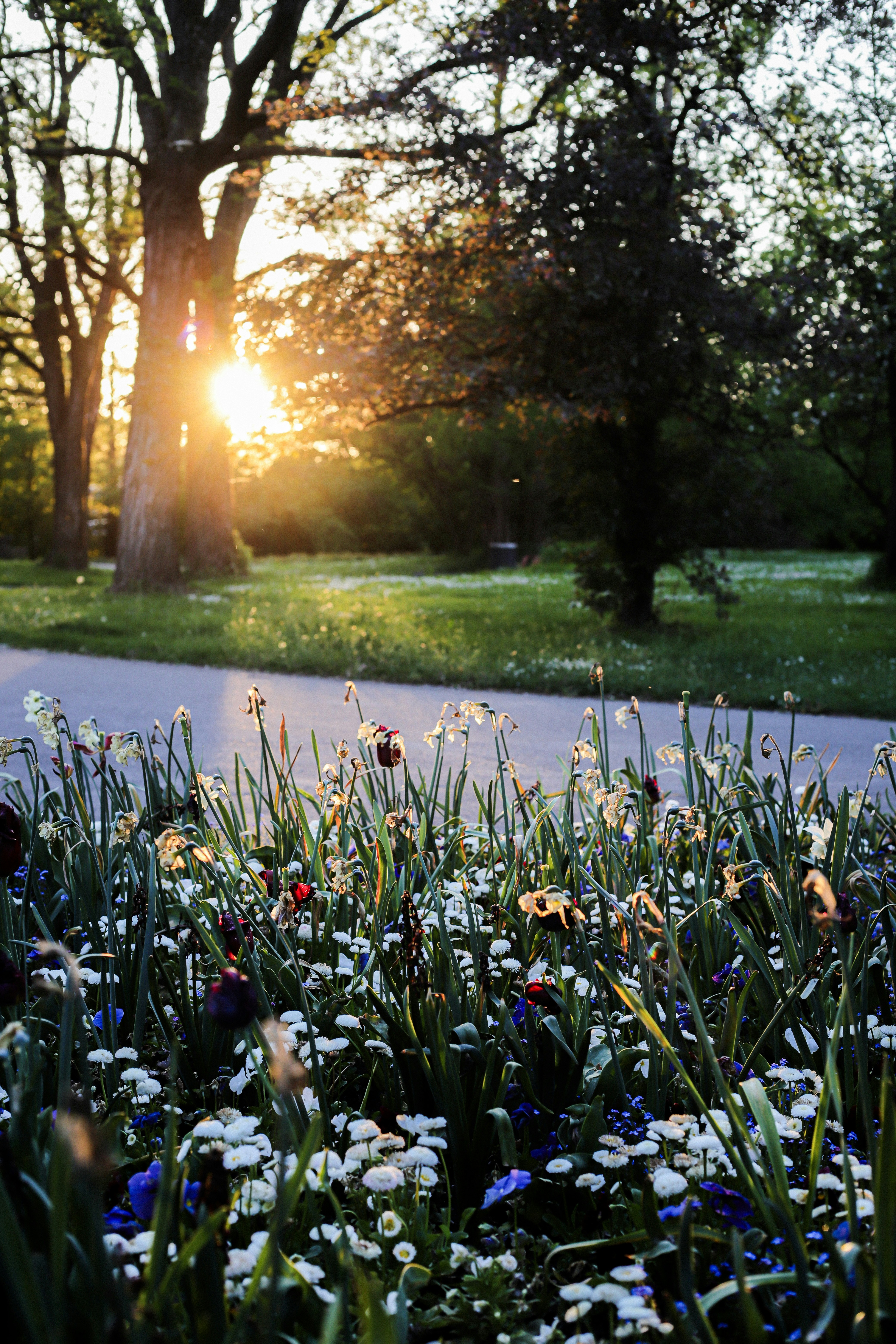 ein Blumenstrauß, der im Gras liegt