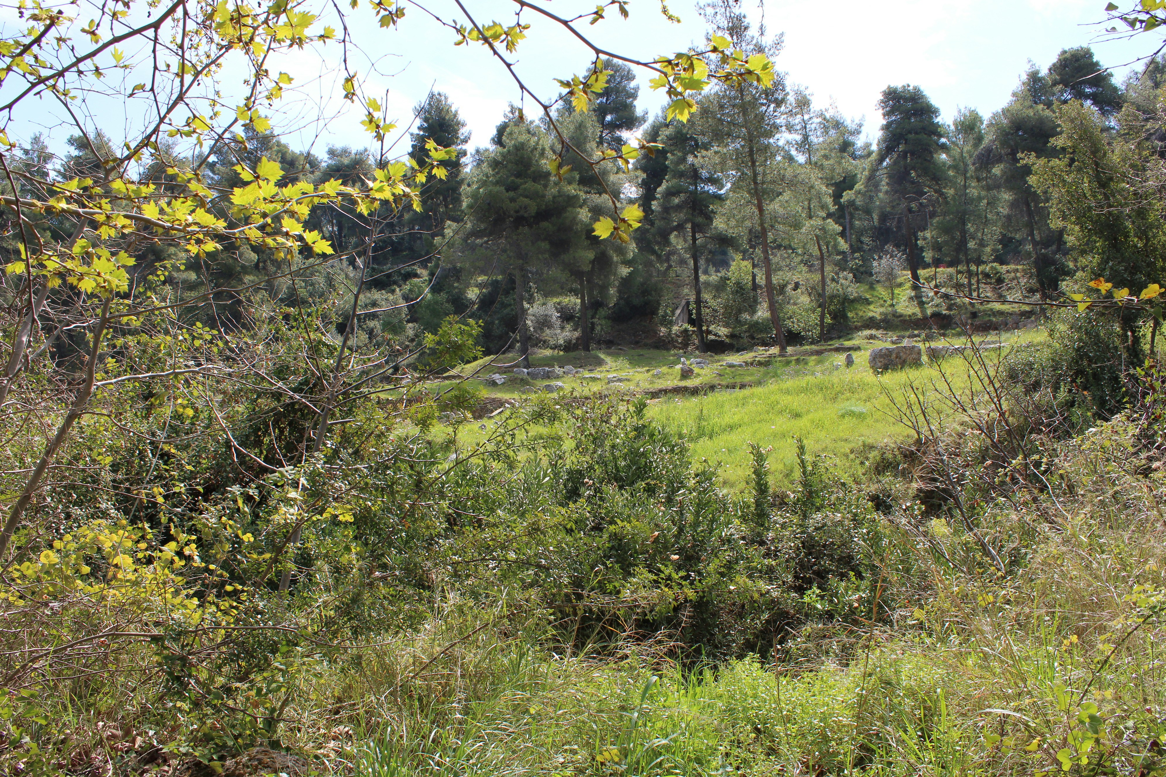 Photo by mary_karletsoy