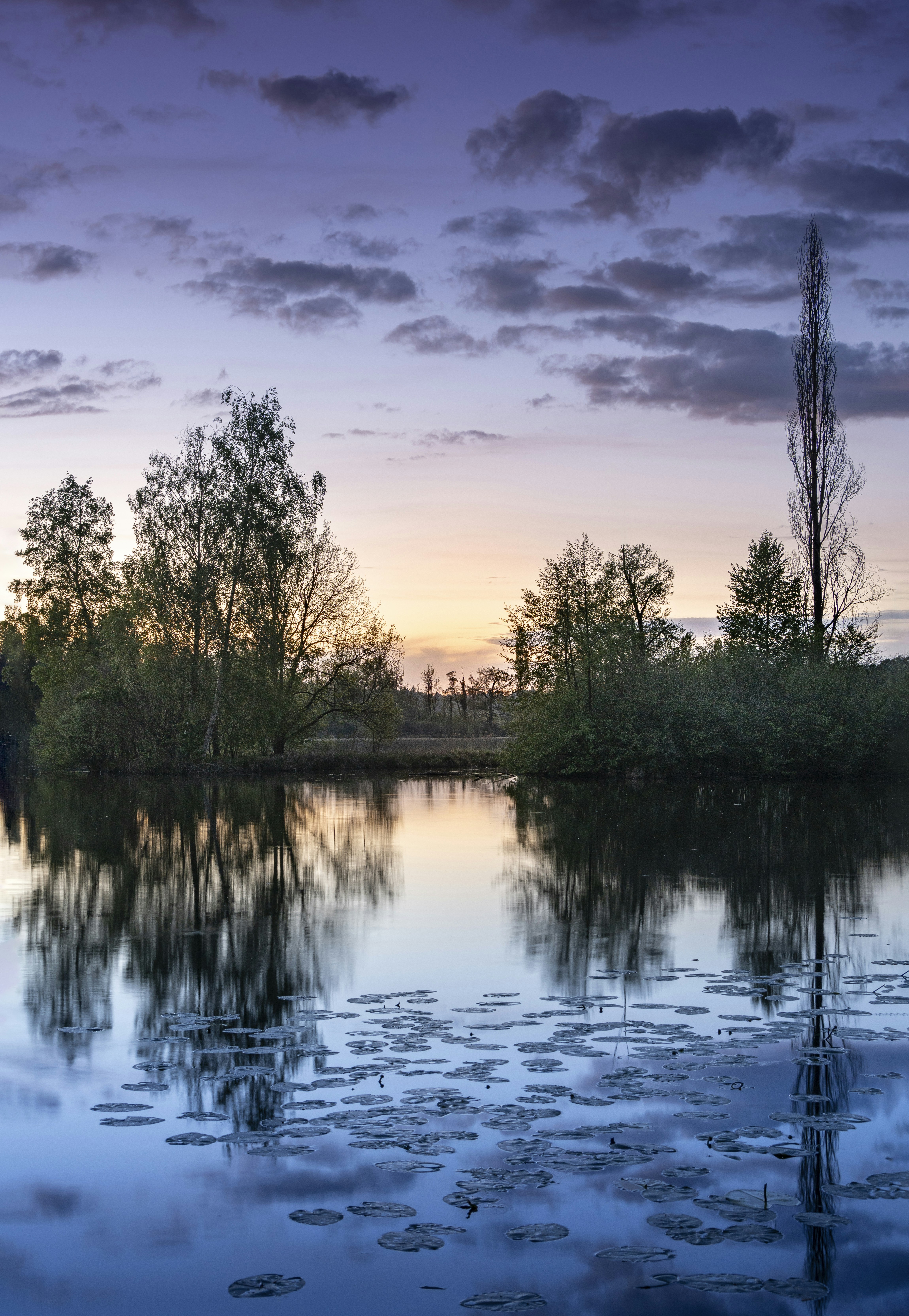 Photo by le_sixieme_reve