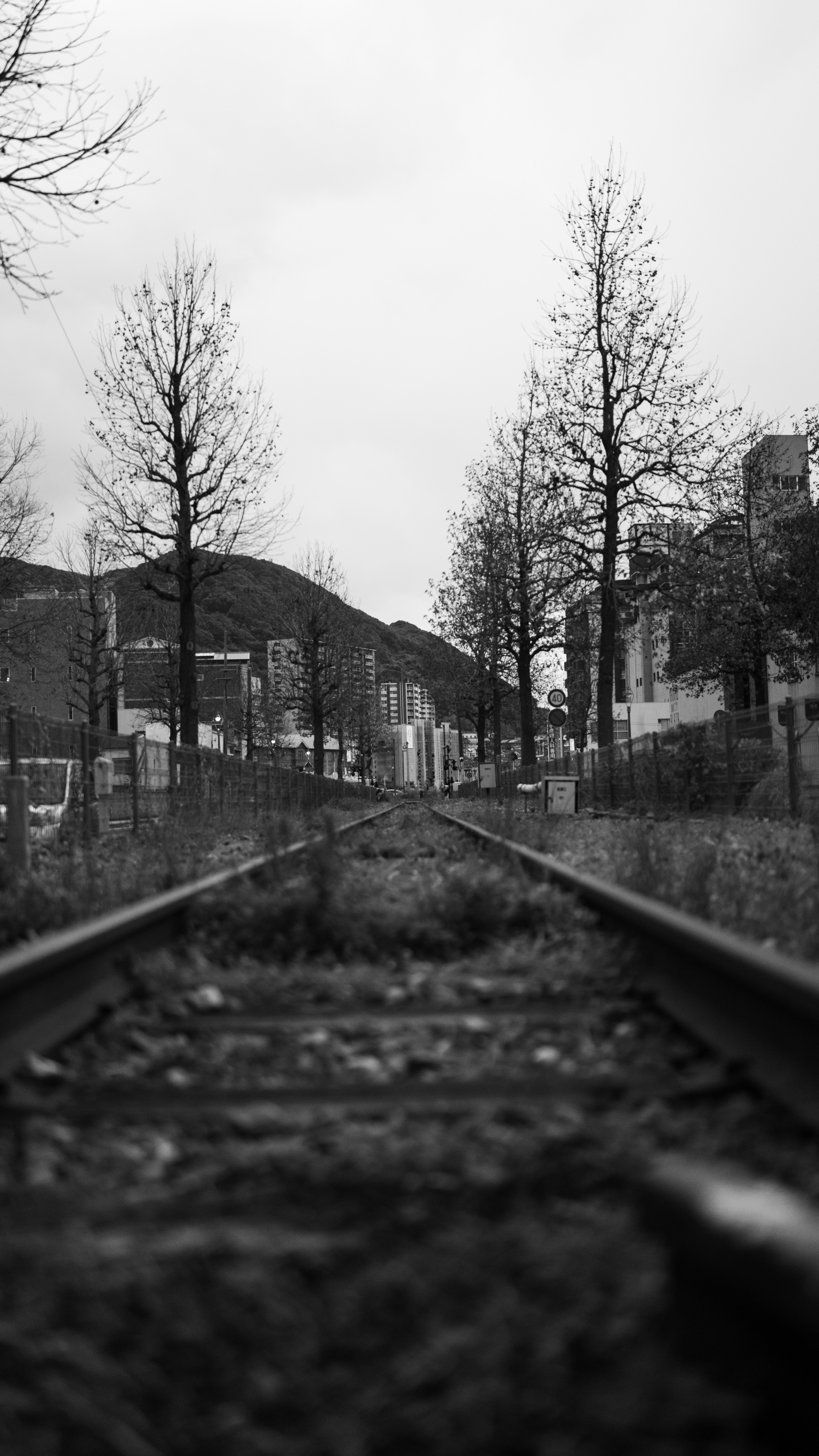 Photo by hyewonphotography