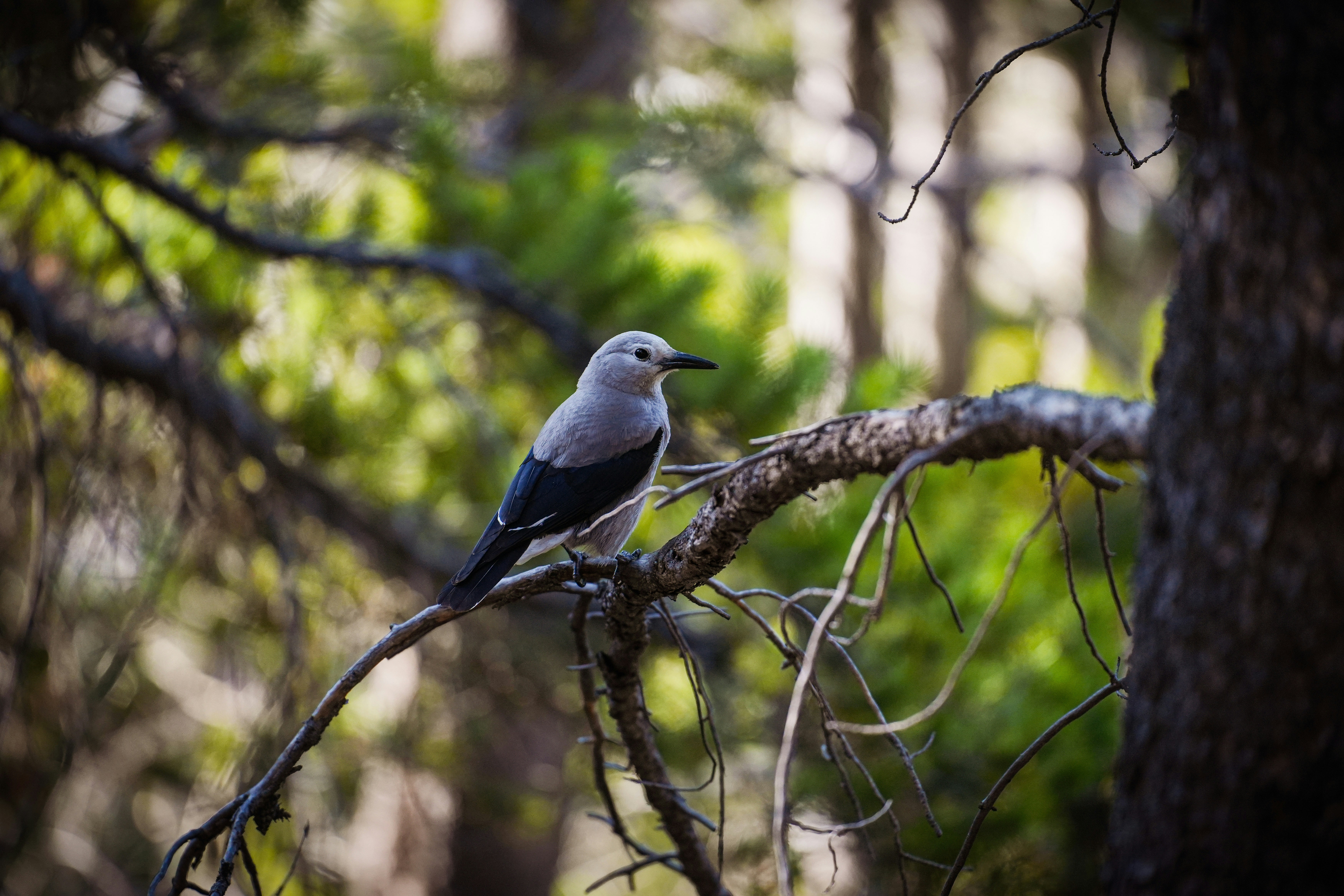 Photo by heatonthetrail