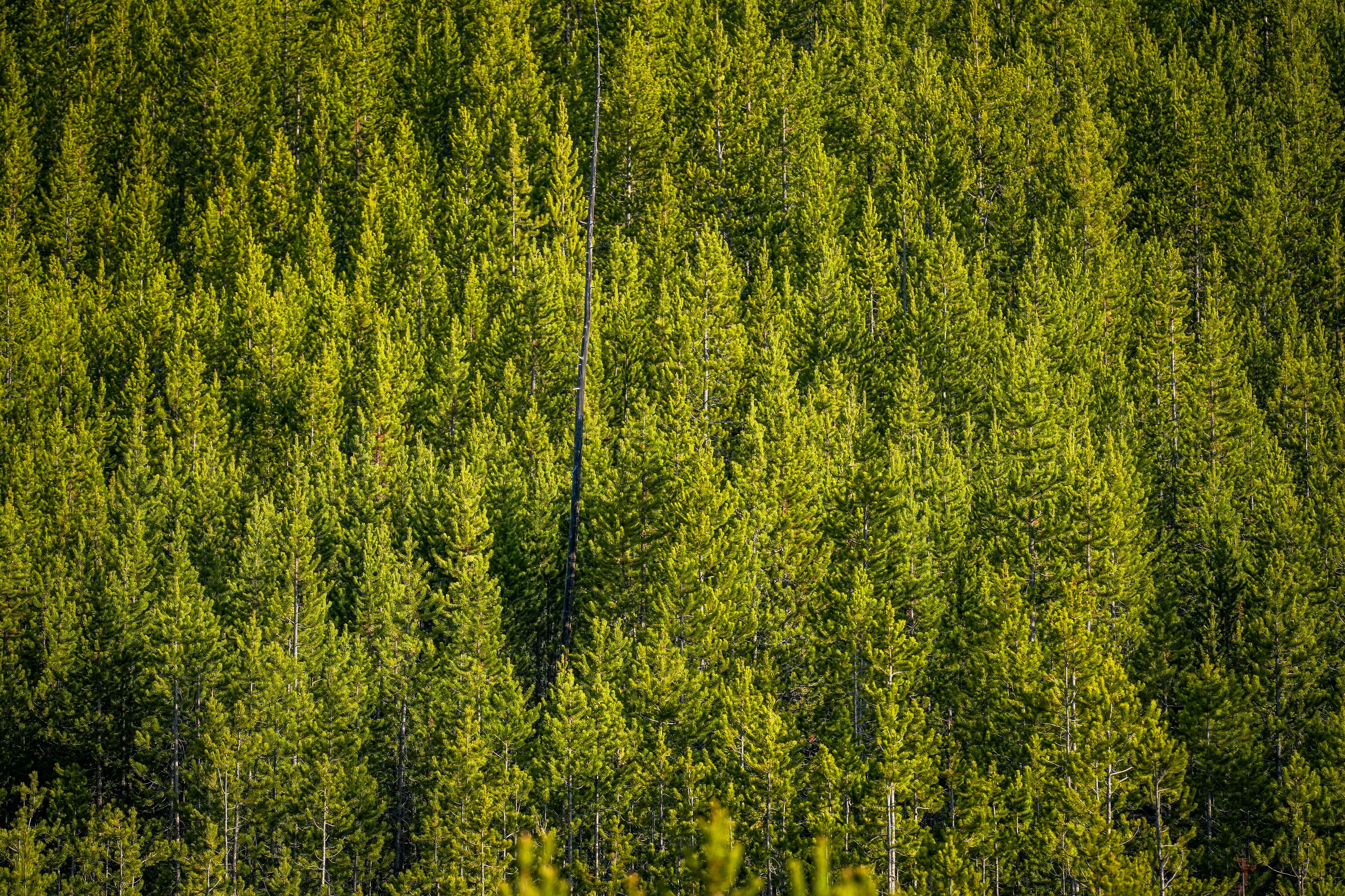 Photo by heatonthetrail